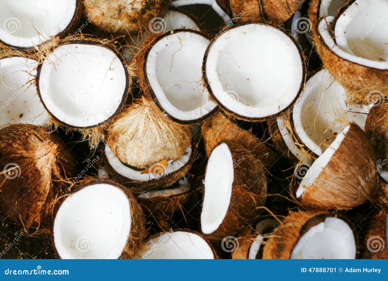 Coconuts stock image. Image of pile, objects, health - 47888701