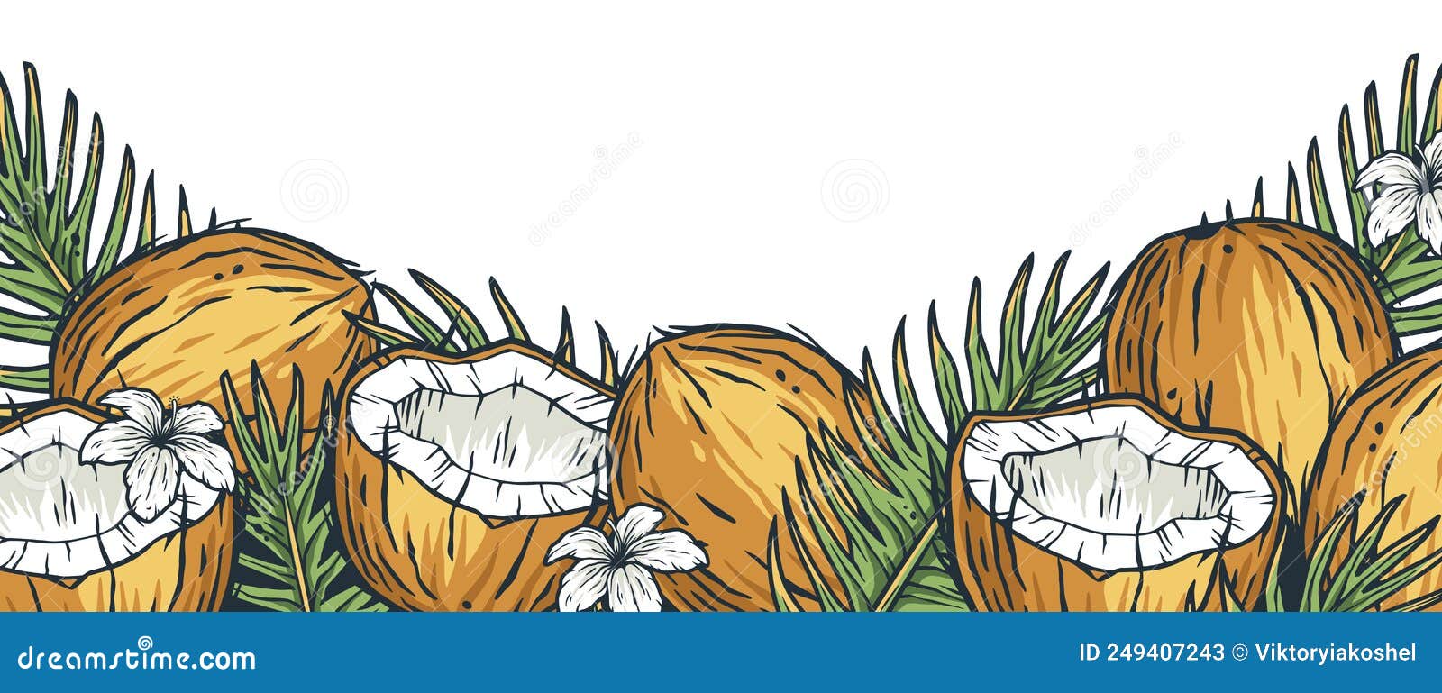 Coconuts Fruits Frame. Summer Fruit Design Element Stock Vector Illustration of fruit, healthy