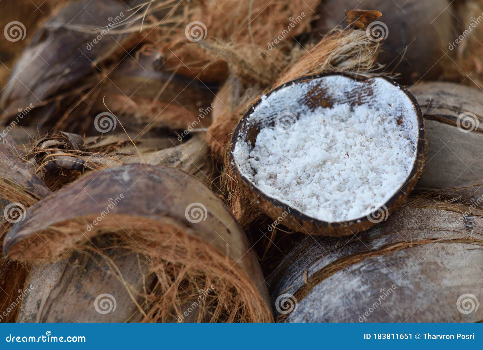 Coconuts Sale in Market Thailand Stock Image Image of rustic, pieces