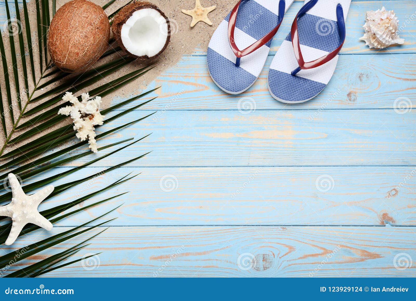 coconuts flip flops