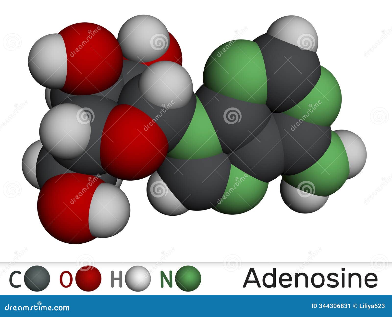 coenzyme a, coa, shcoa, coash molecule. molecular model. 3d rendering.