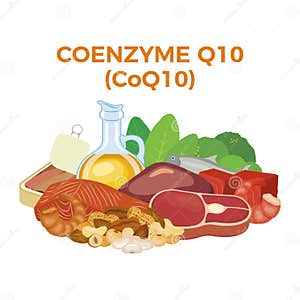 Coenzyme Q10 CoQ10 In Food Icon Vector Stock Vector Illustration Of Isolated Fish 269679581 Coenzyme Q10 CoQ10 In Food Icon Vector Stock Vector Illustration Of Isolated Fish 269679581