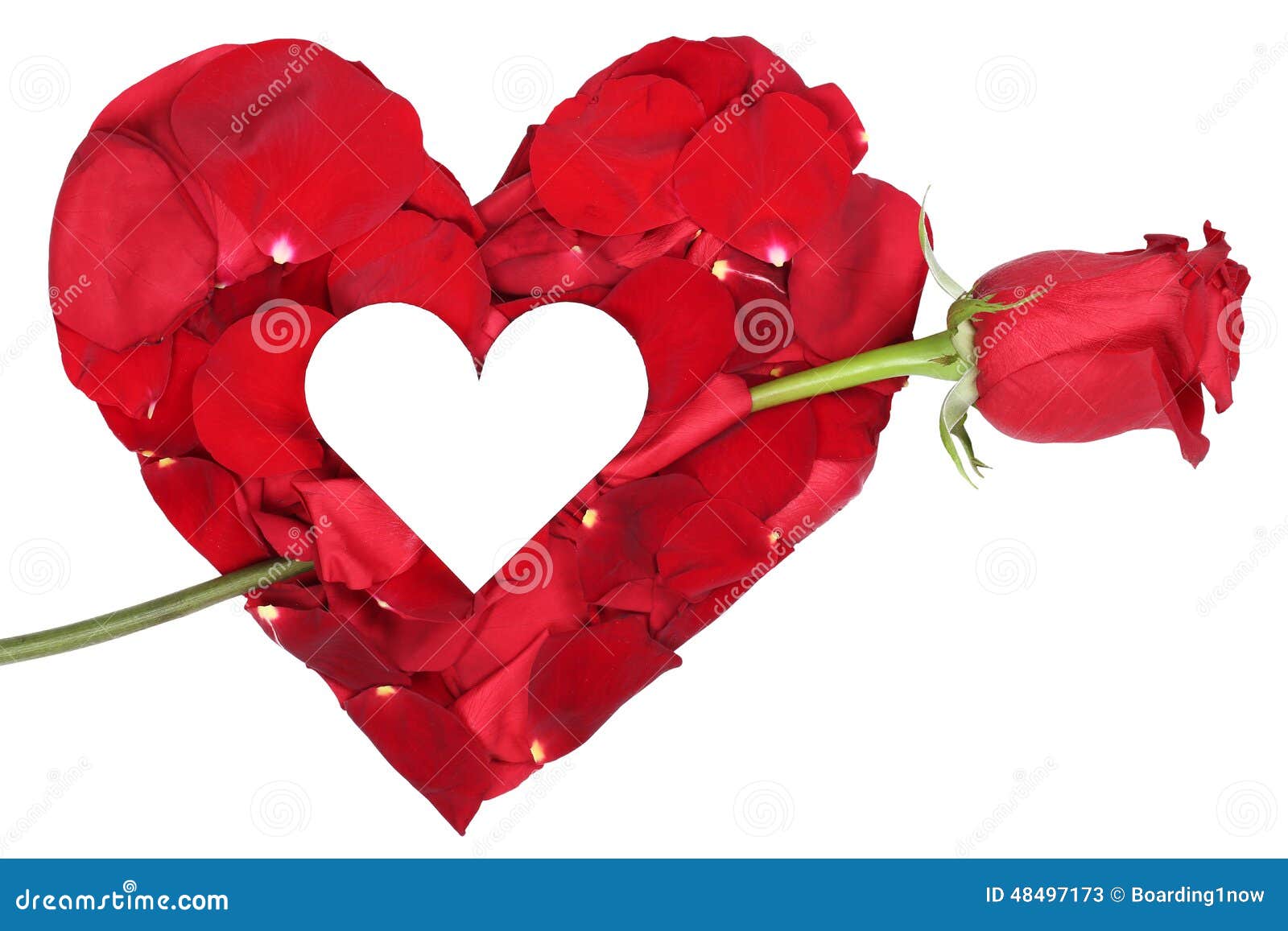 Coeur Des Pétales Avec Le Sujet Damour De Rose De Rouge