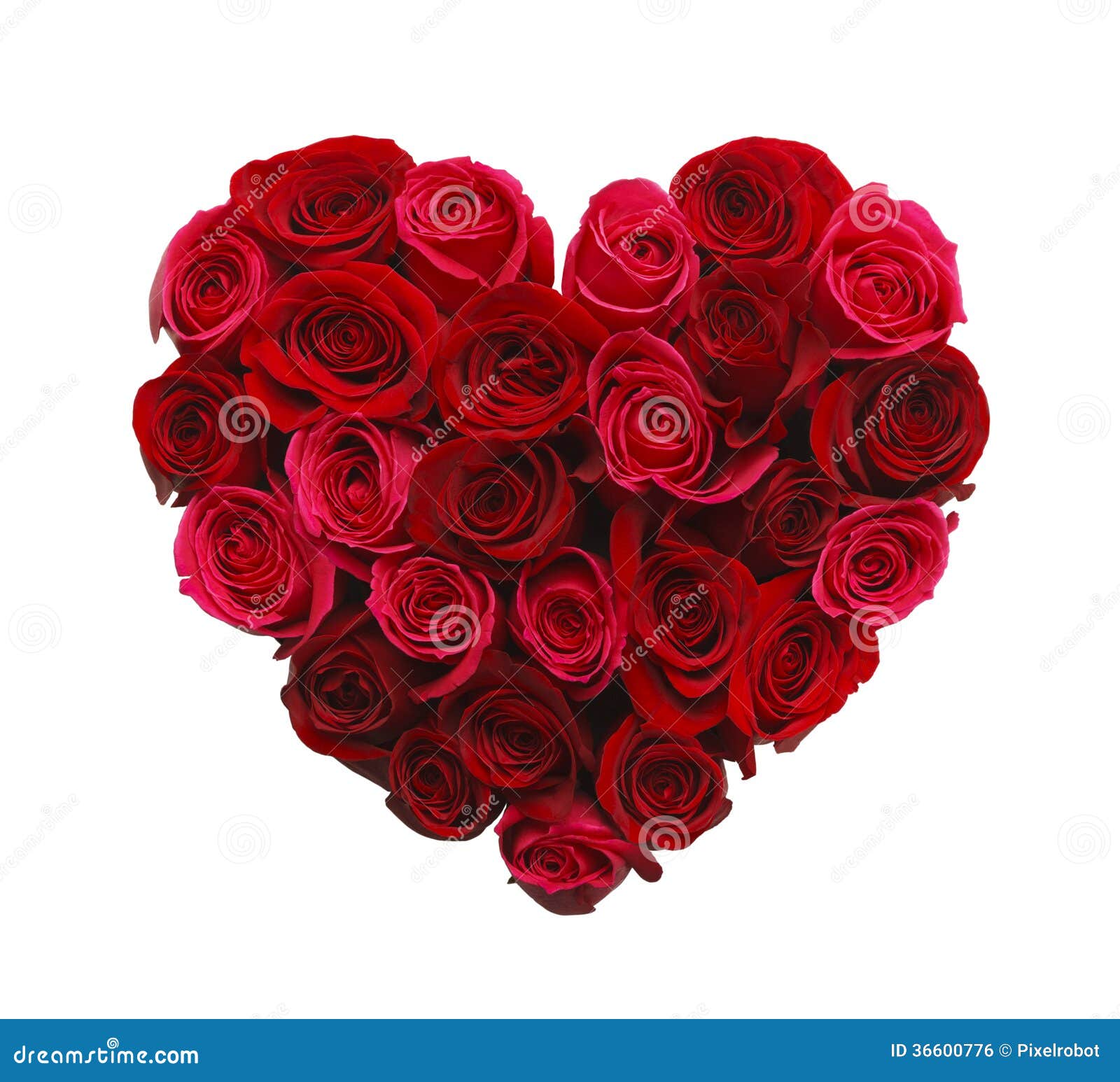 Coeur des roses photo stock. Image du rose, nature, isolement - 36600776