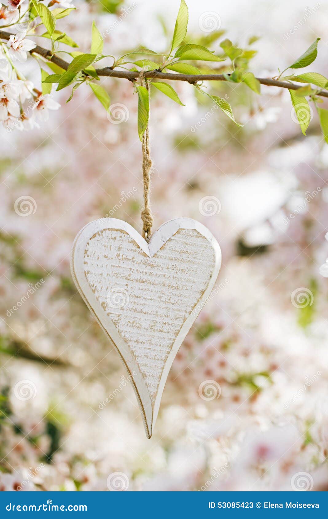 Coeur En Bois Au Printemps Avec La Fleur Image stock - Image du durée