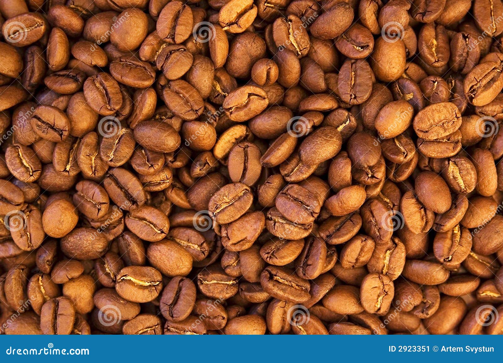 cofee beans theme