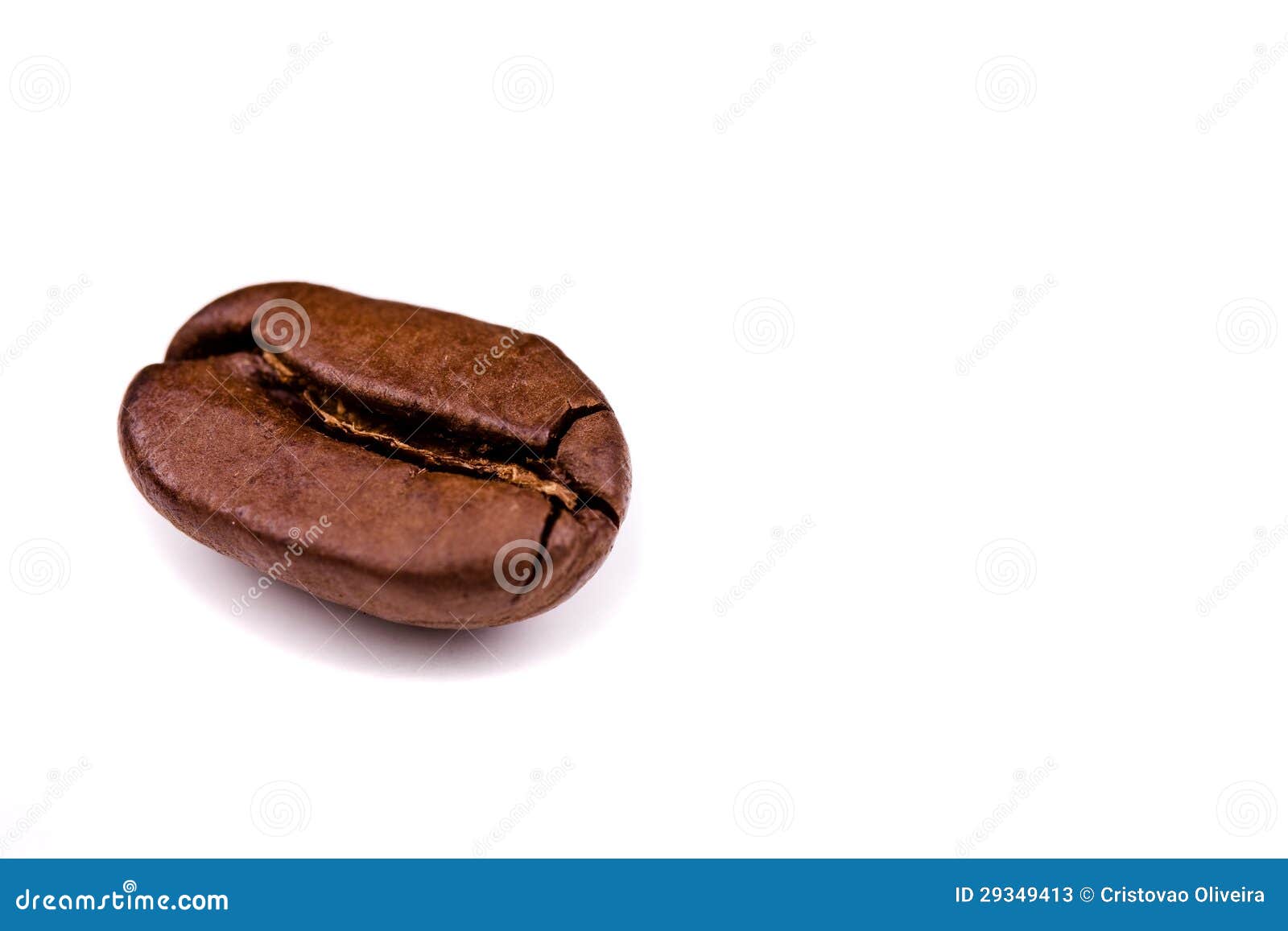coffe bean