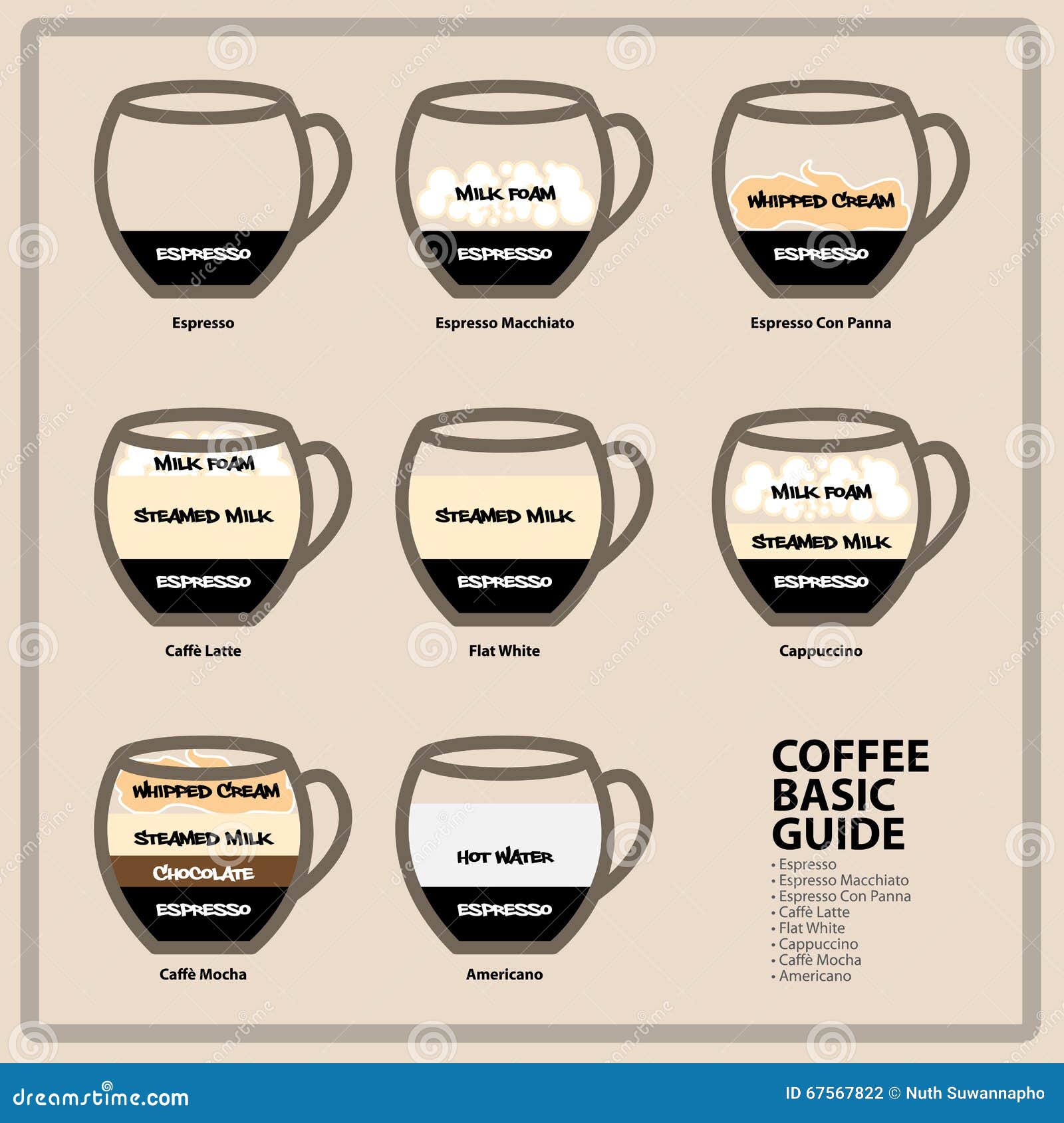 Coffee Basic Guide Stock Vector Image 67567822