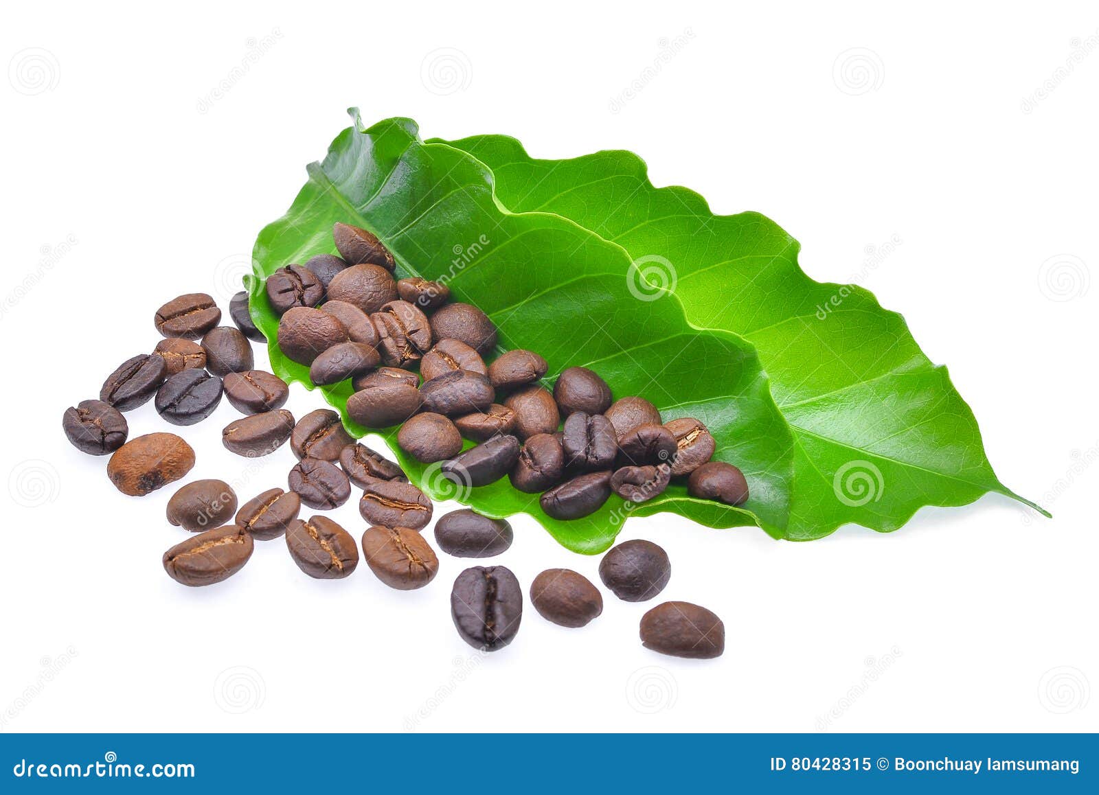 Coffee Bcoffee Beans with Green Coffee Leaves Isolated on White Stock