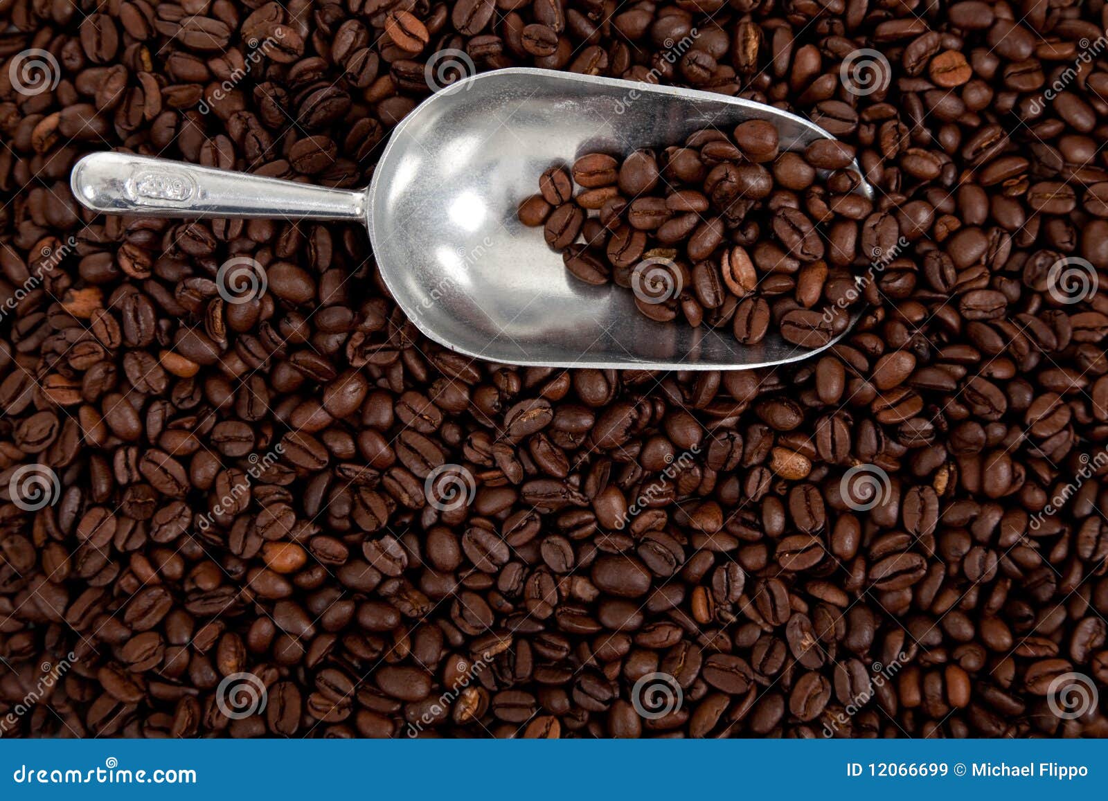 A Coffee Bean Background with a Silver Scoop Stock Image Image of