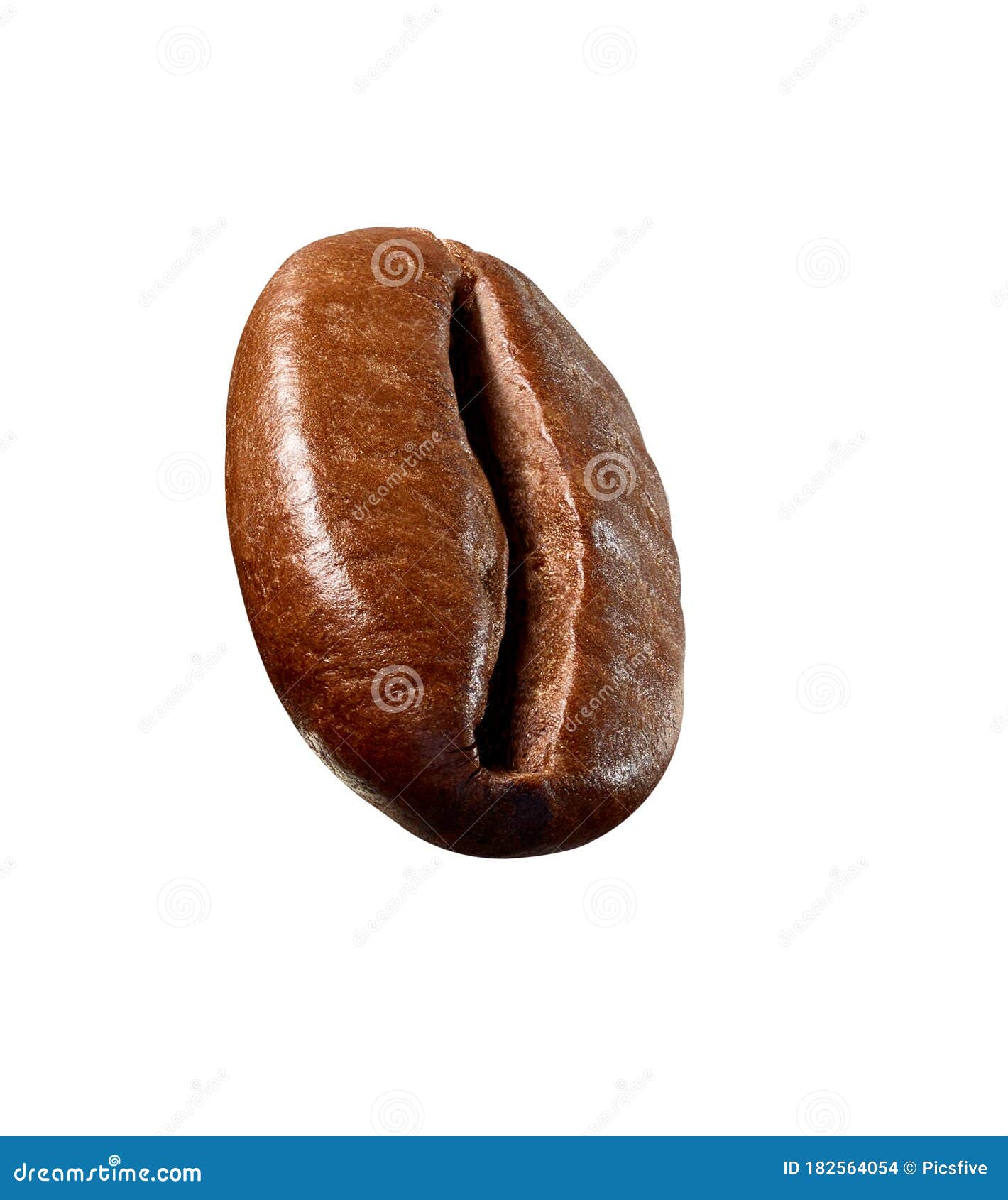 Coffee Bean Brown Roasted Caffeine Espresso Seed Stock Photo Image of