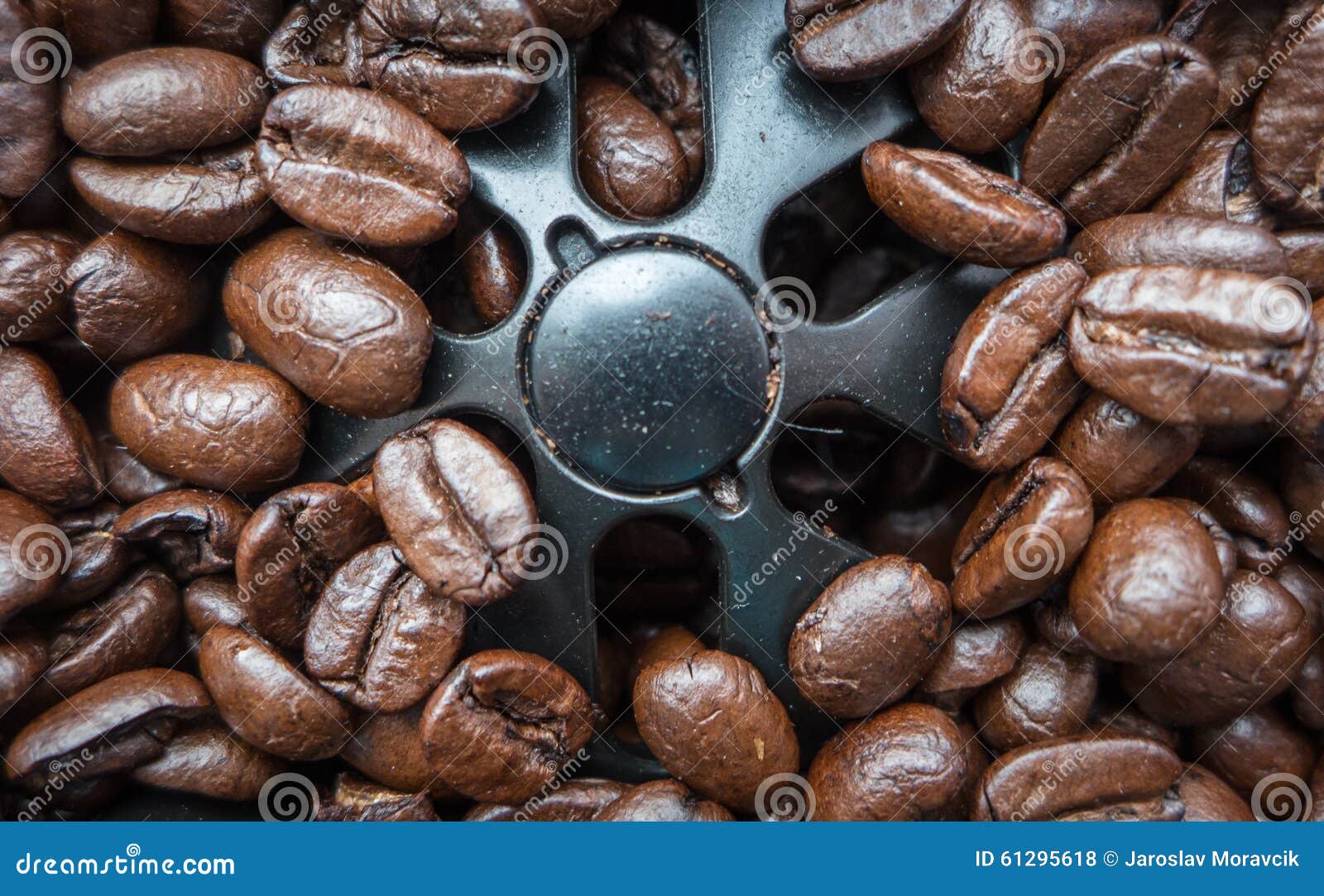 Coffee bean caffeine stock photo. Image of detail, tasty 61295618