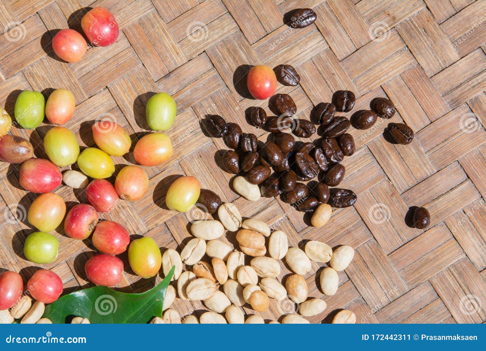 Coffee Bean with Cherry Beans and Coffee Leaves Stock Image Image of