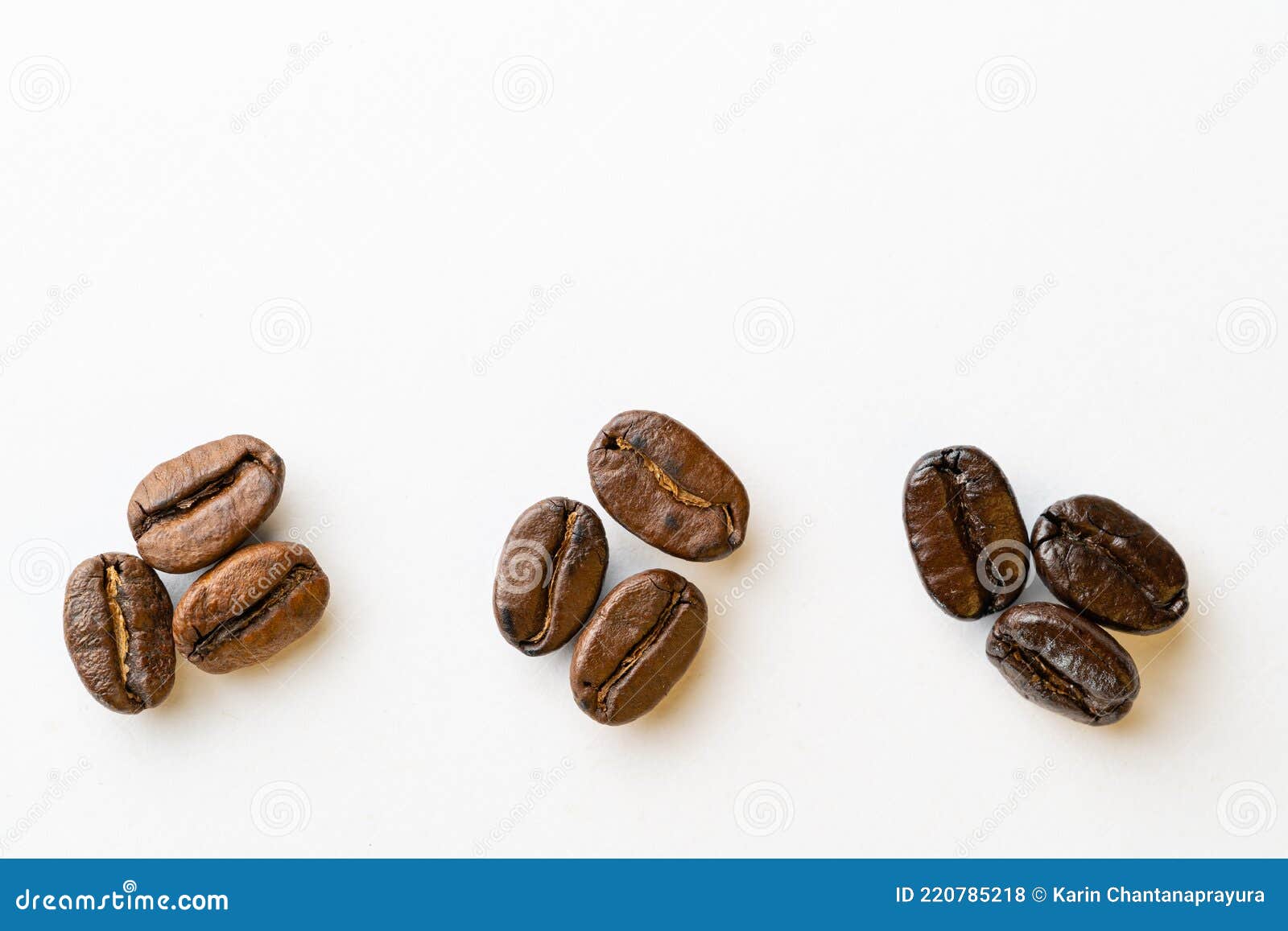 Coffee Bean Group Arabica and Robusta Stages of Roasting Light Roast