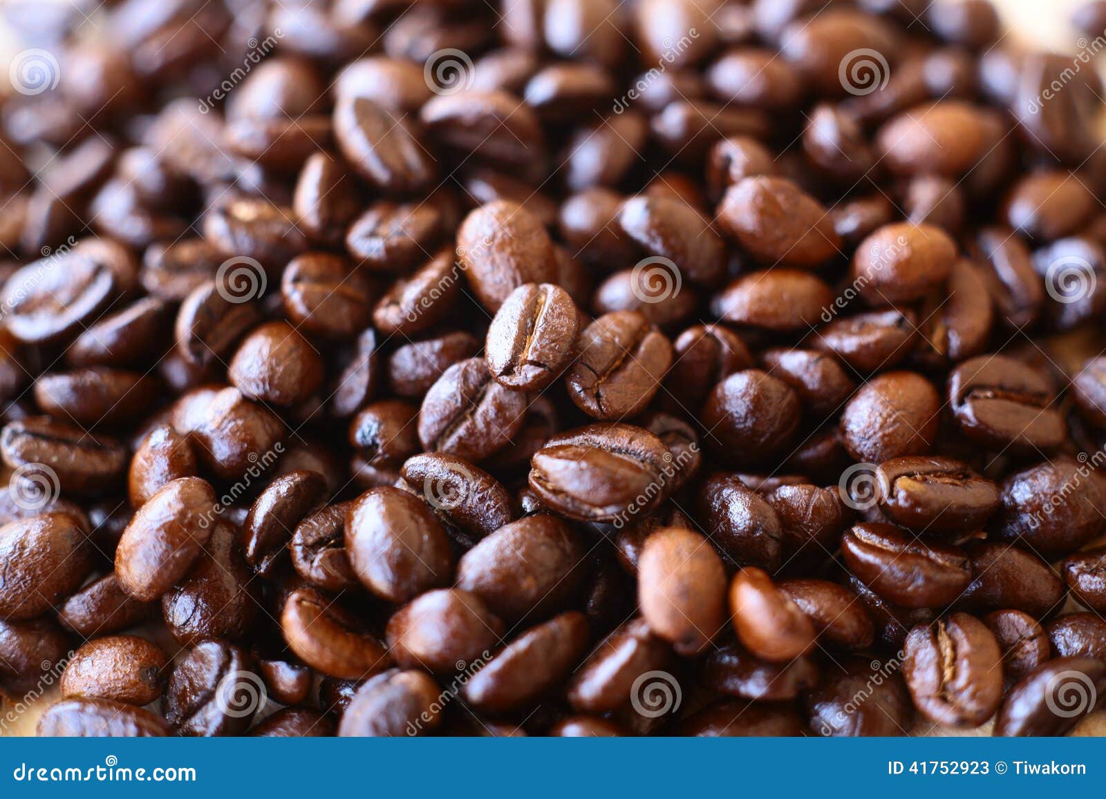 Coffee bean. stock image. Image of objects, bean, scented 41752923