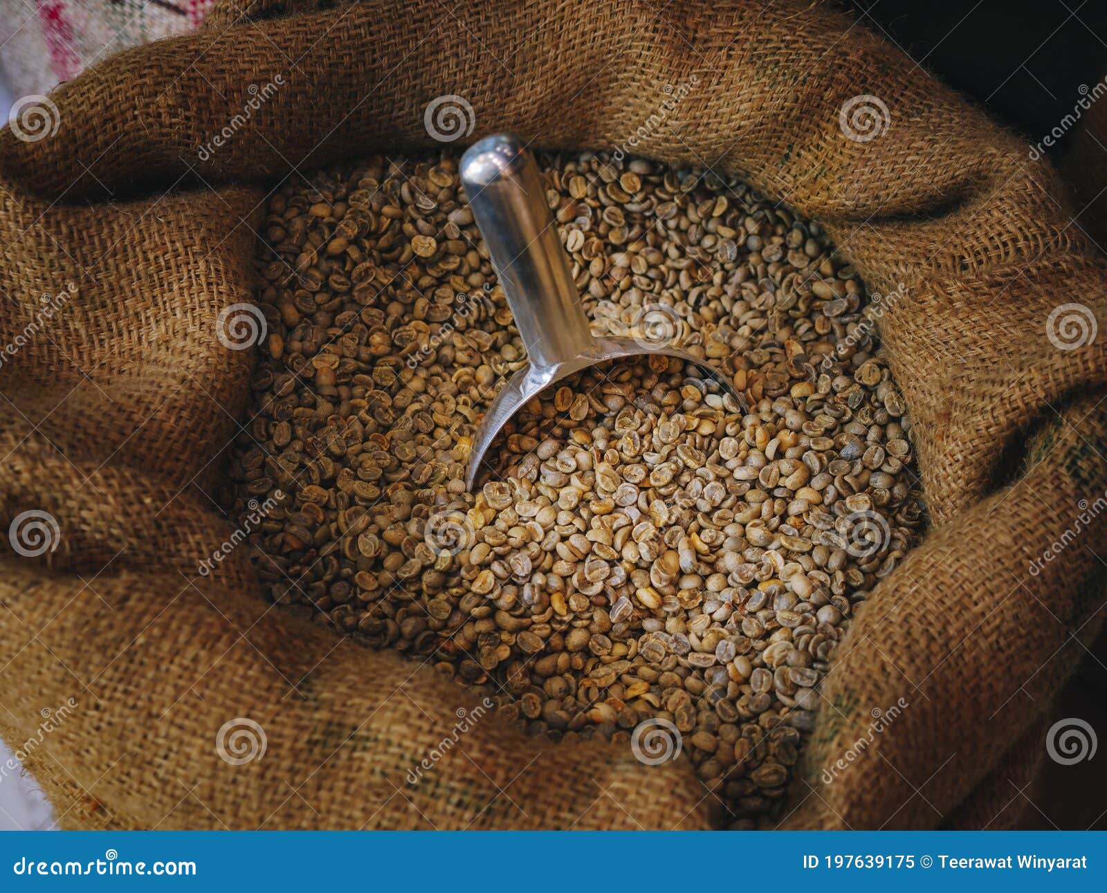 Coffee Bean in Sack Bag with Scoop Coffee Roaster Stock Image Image