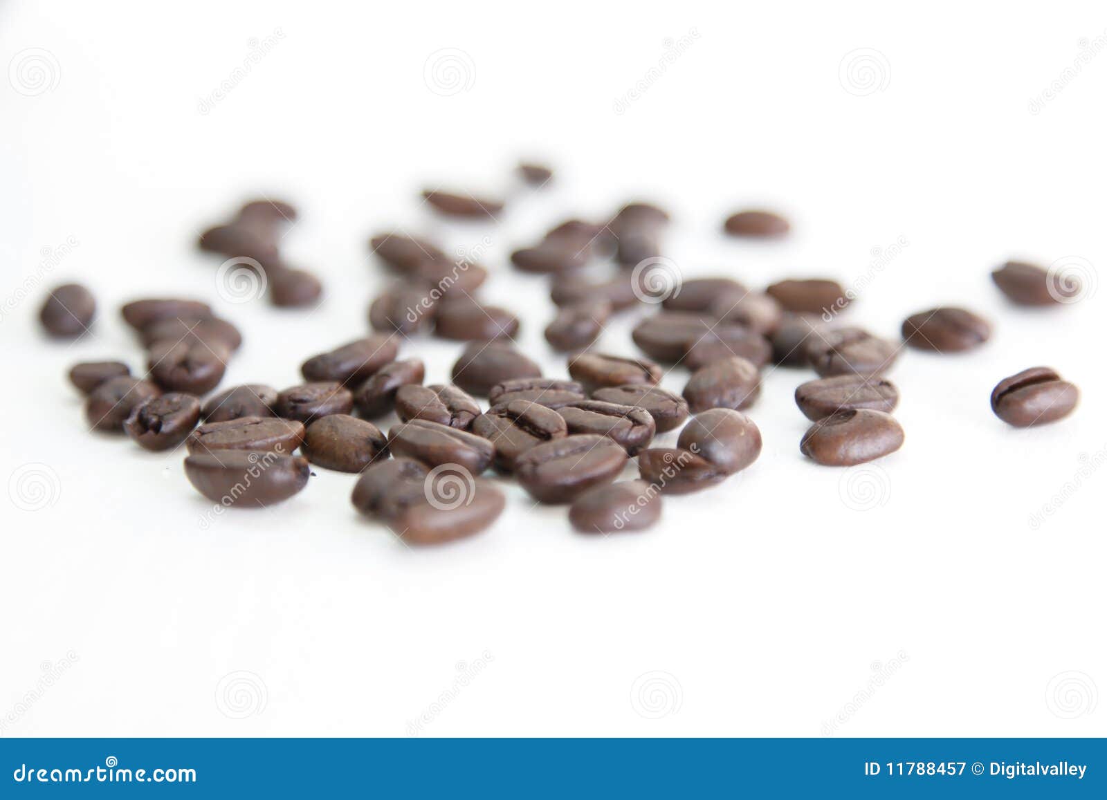 Coffee beans stock image. Image of starbucks, white, kenya 11788457
