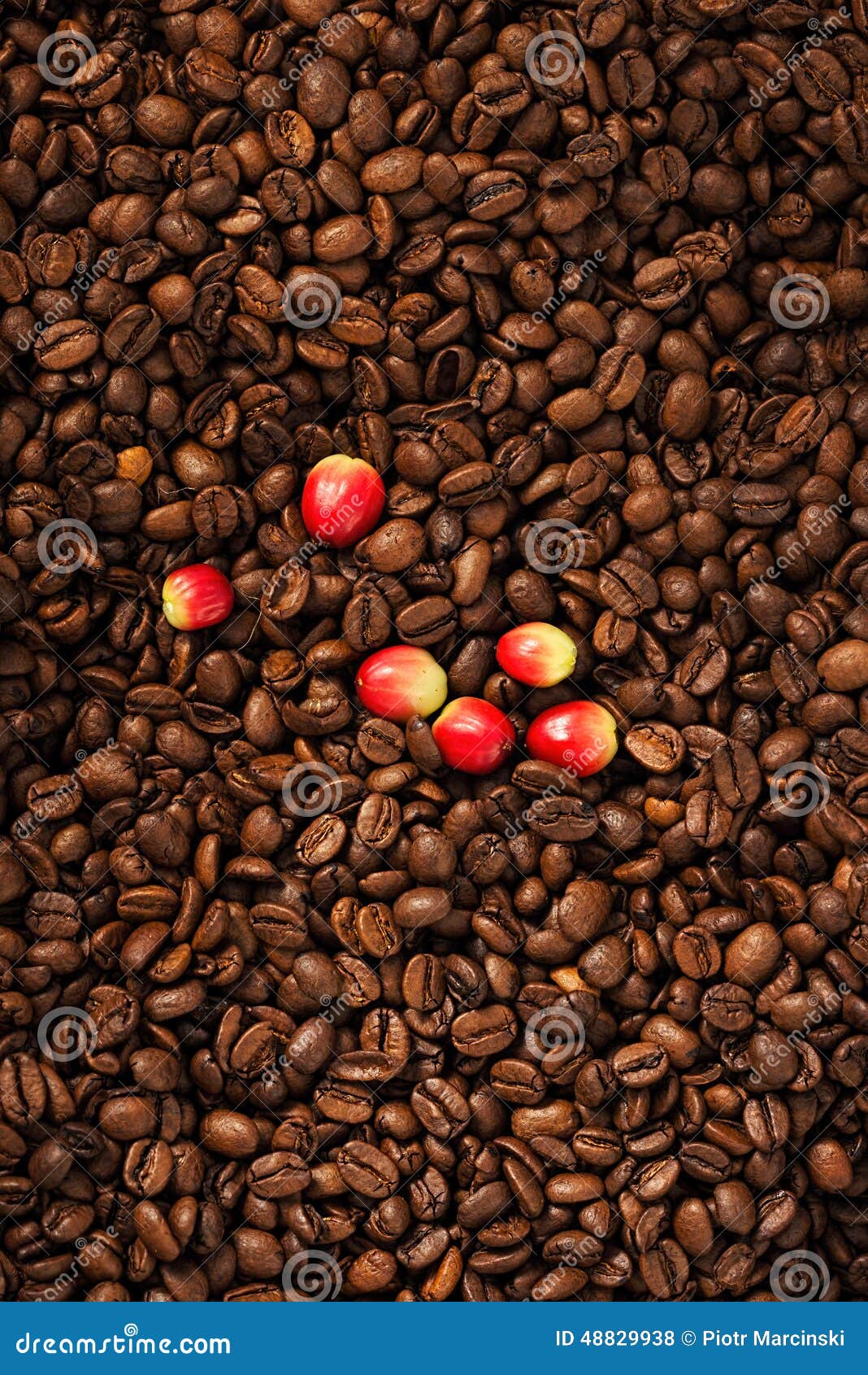 Coffee beans and berry stock photo. Image of beverage 48829938