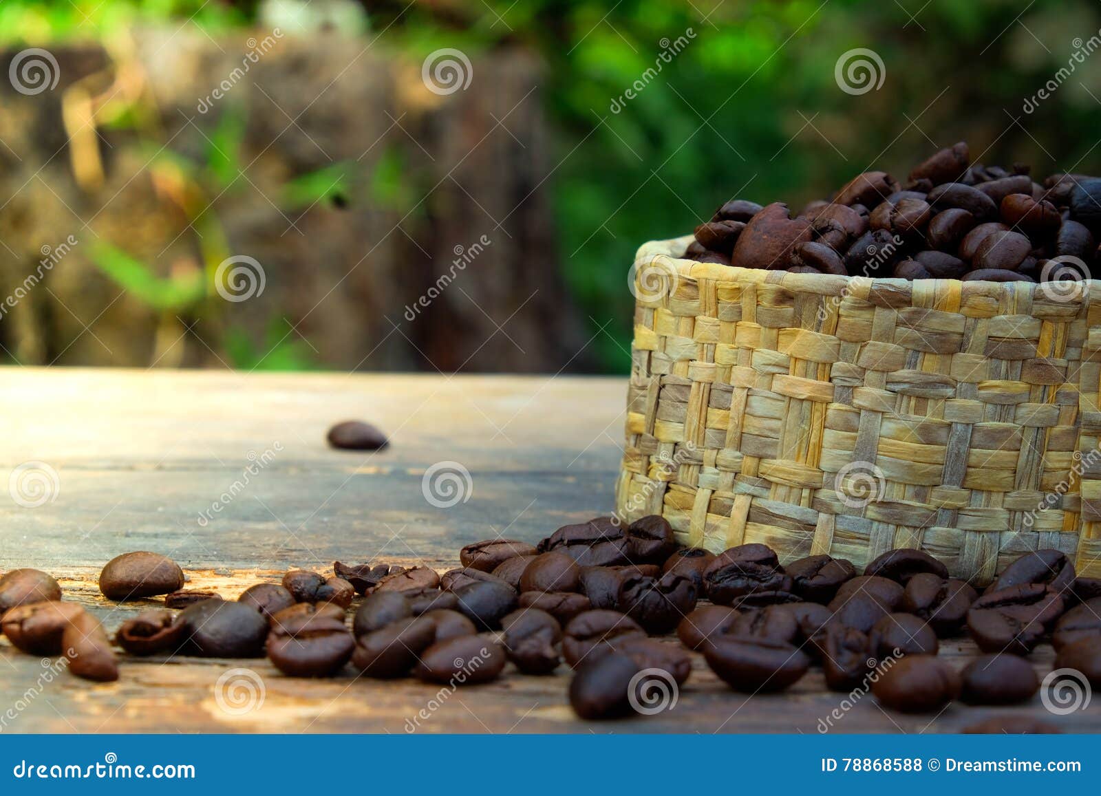 Coffee Beans in Bulk on Wood Table and a Soft Light. Stock Photo Image of aroma, freshness