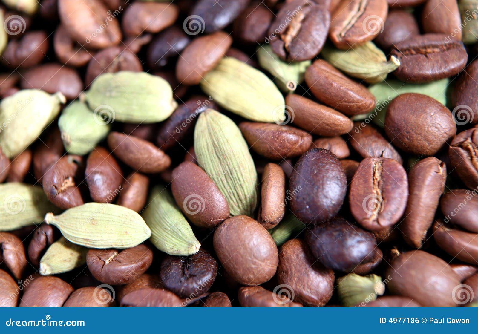 Coffee Beans and Cardamon Pods Stock Photo Image of flavor, mixture