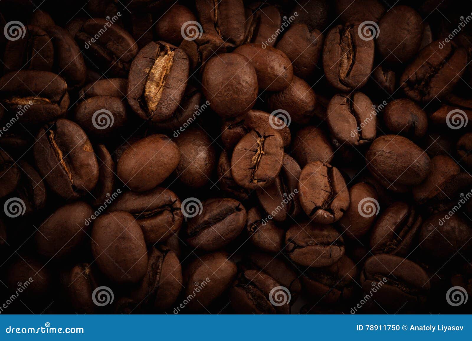 coffee beans closeup