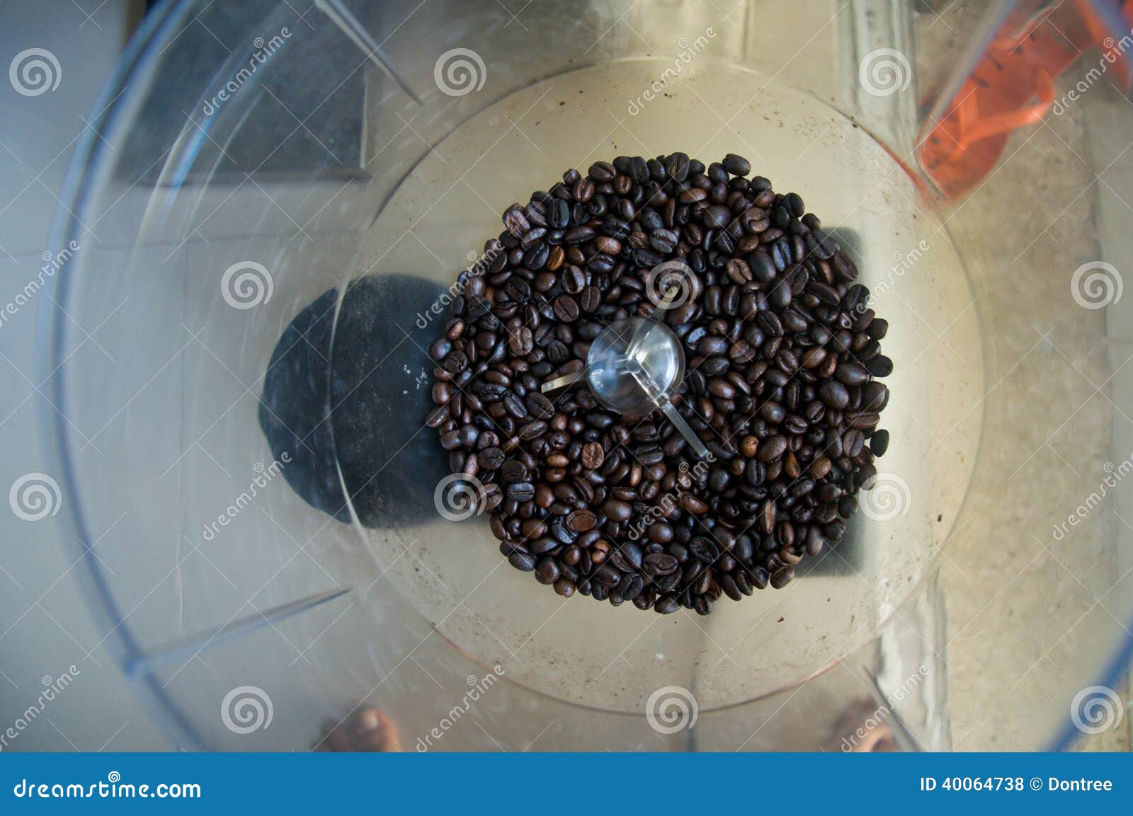 Coffee Beans in Coffee Machine Stock Photo Image of freshness