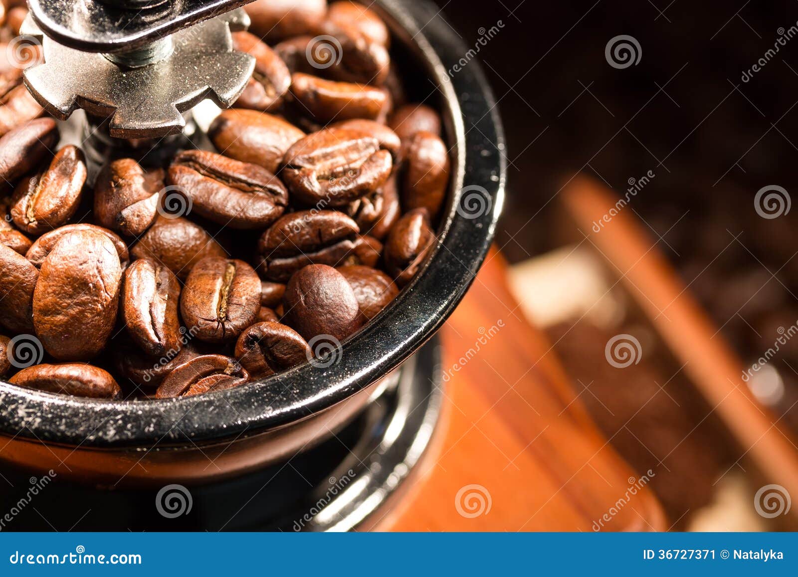 Coffee Beans in a Coffee Mill. Stock Image Image of material, macro