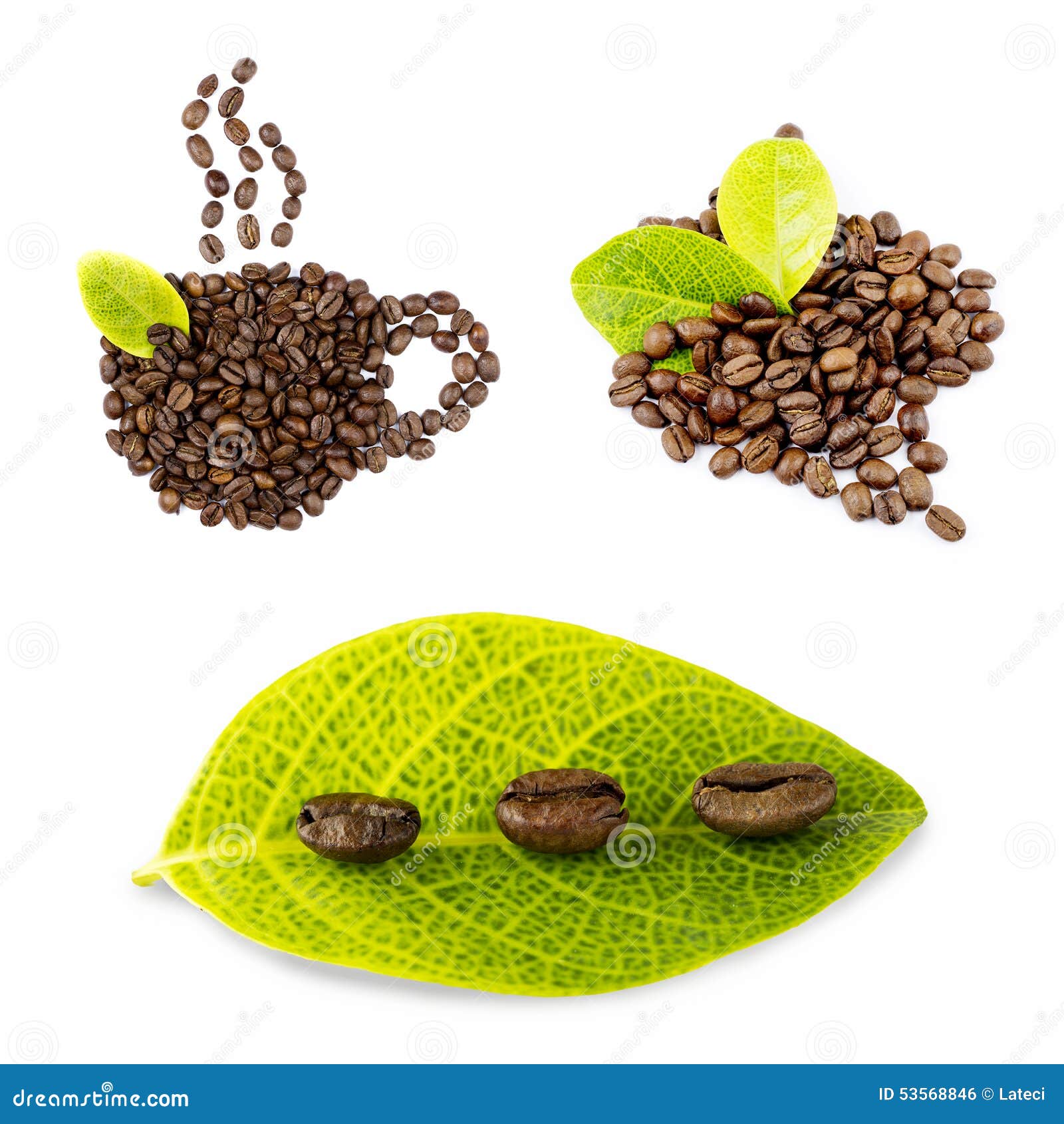 coffee beans collage  on white bacground