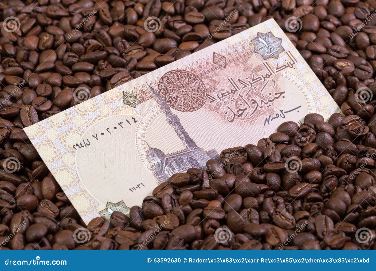 Coffee Beans and Egyptian Banknote Stock Photo Image of banknote