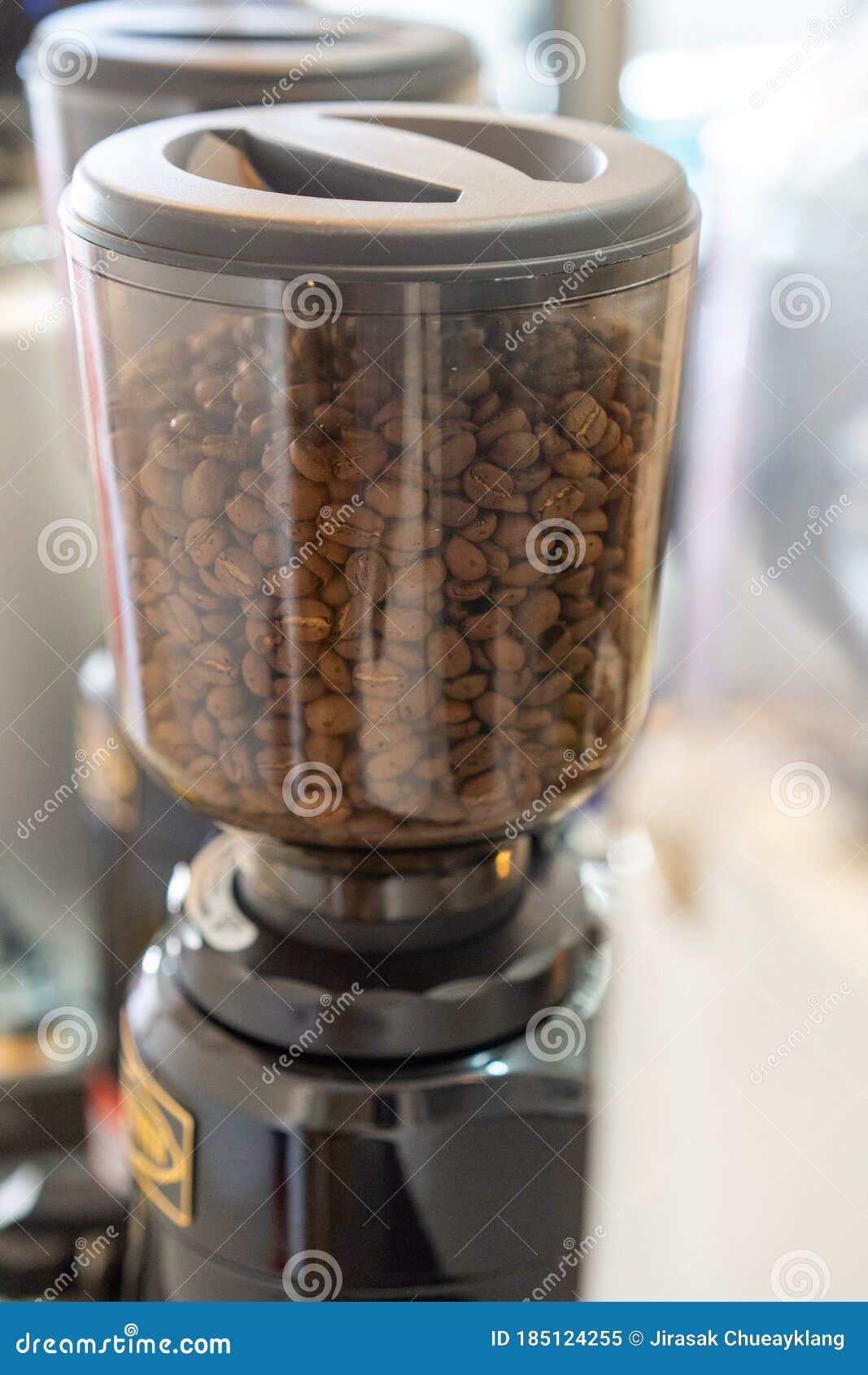 Coffee Beans in Electric Coffee Grinder Stock Image Image of coffee