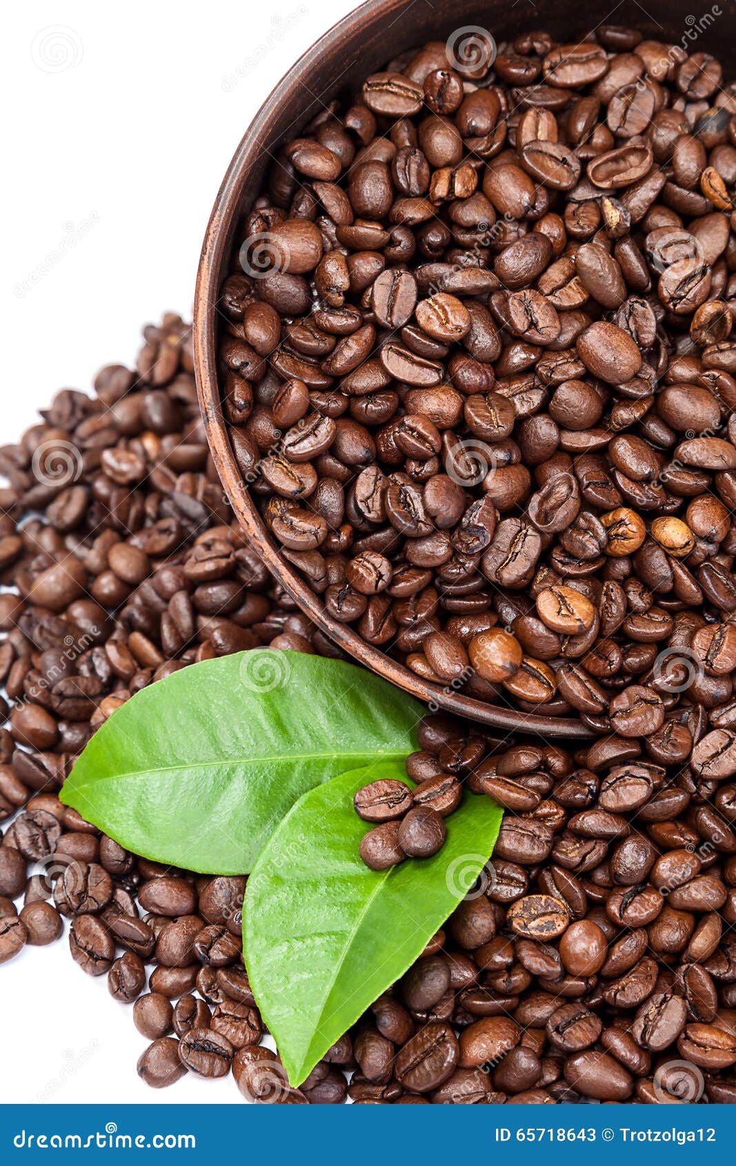 Coffee Beans with Green Leaves Stock Image Image of freshness, color