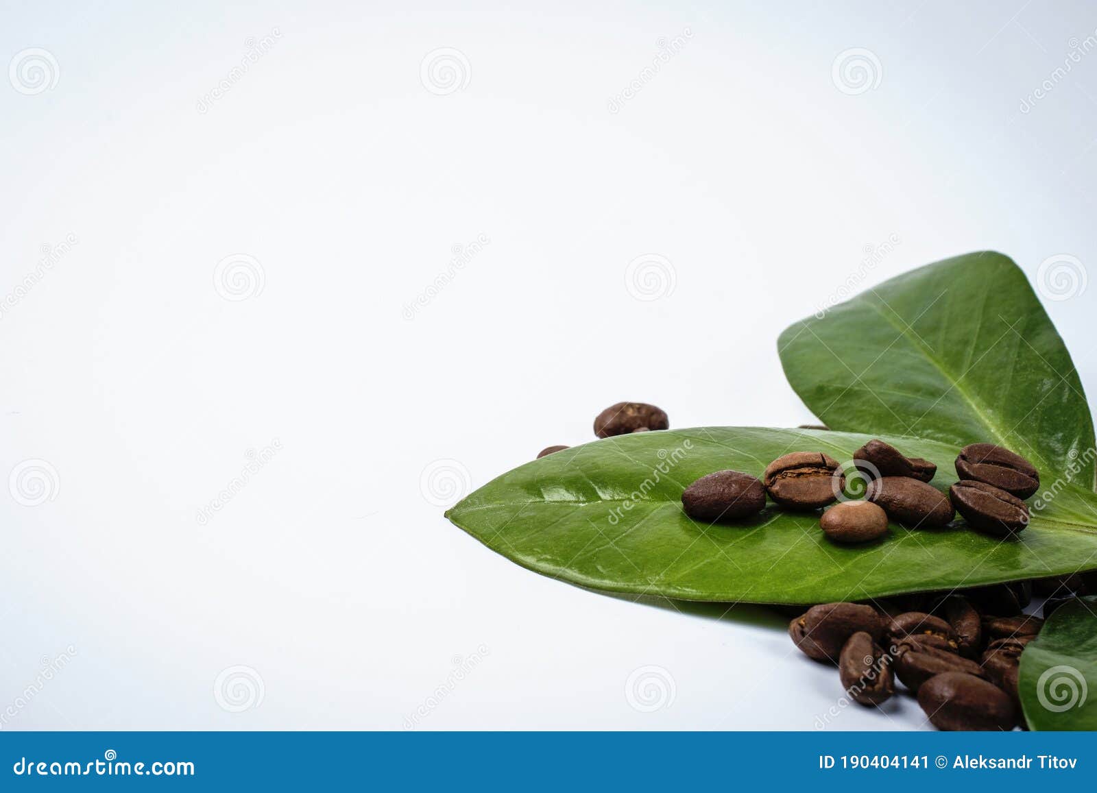 Coffee Beans and Green Leaves Isolated on White Background. Stock Image