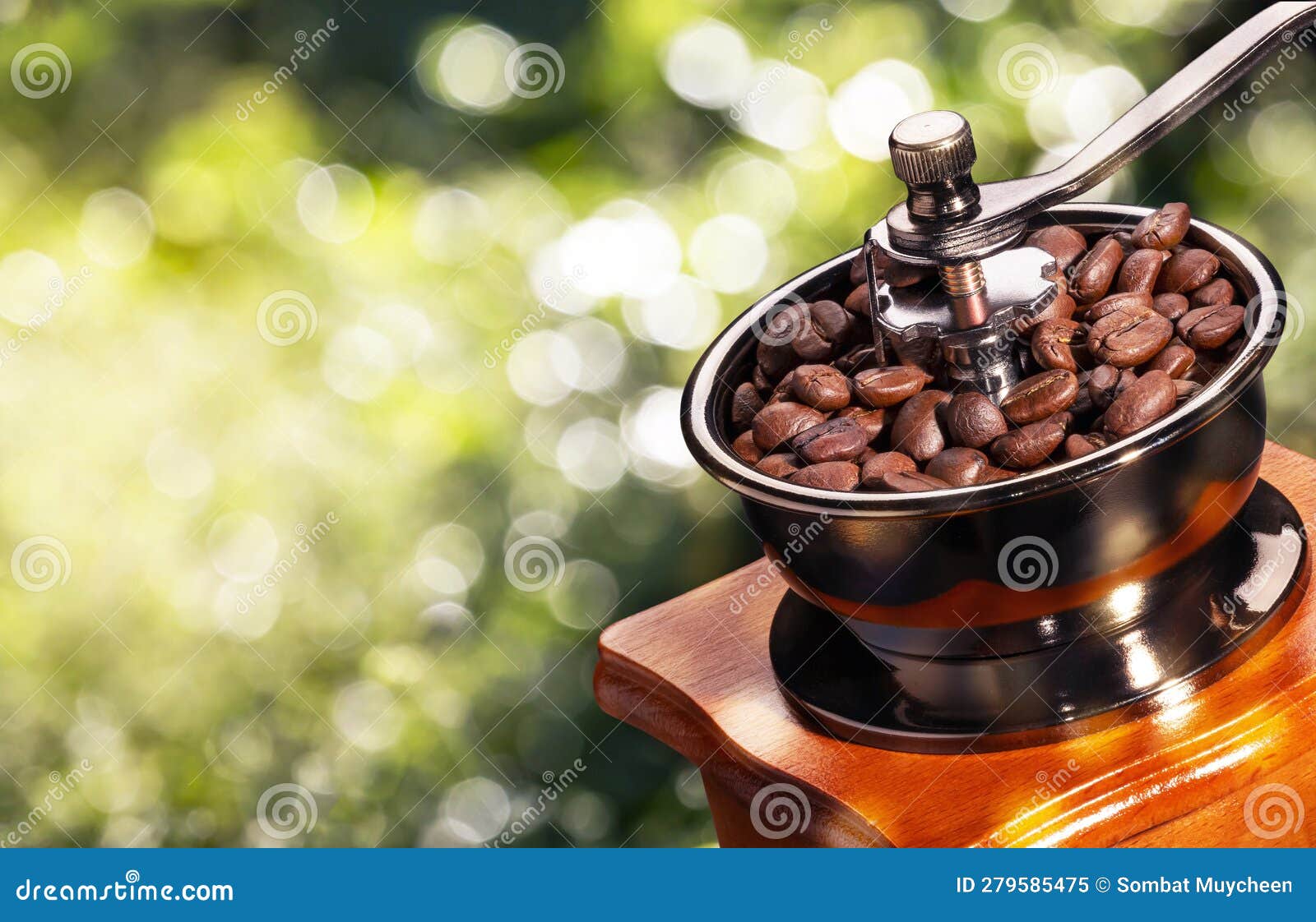 Coffee Beans in Grinder with Natural Bokeh Light Background Stock Image