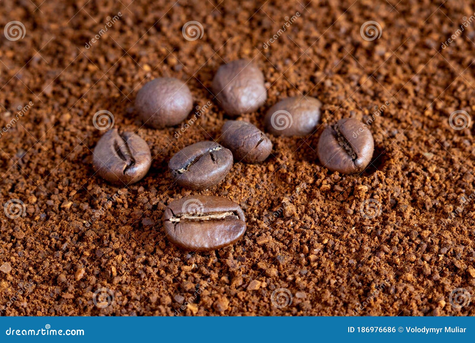 Coffee Beans on Ground Coffee, Making Coffee Stock Photo Image of