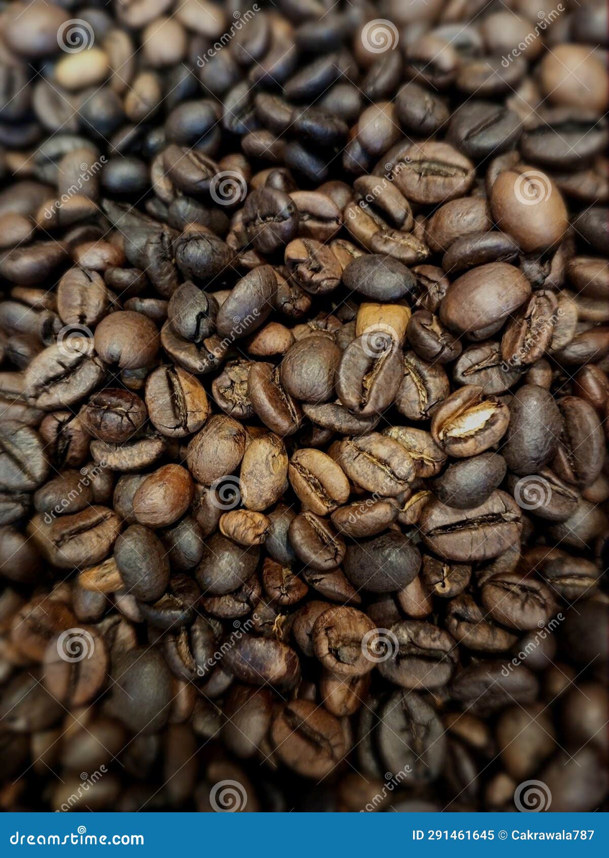 Coffee Beans that Have Been Roasted, Ready To Be Ground Stock Image