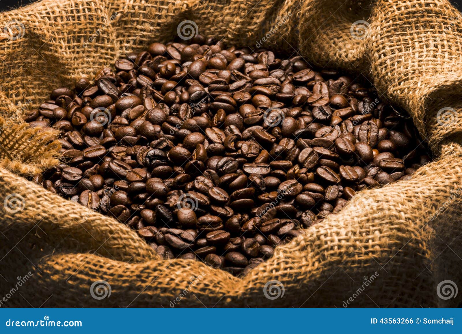 coffee beans