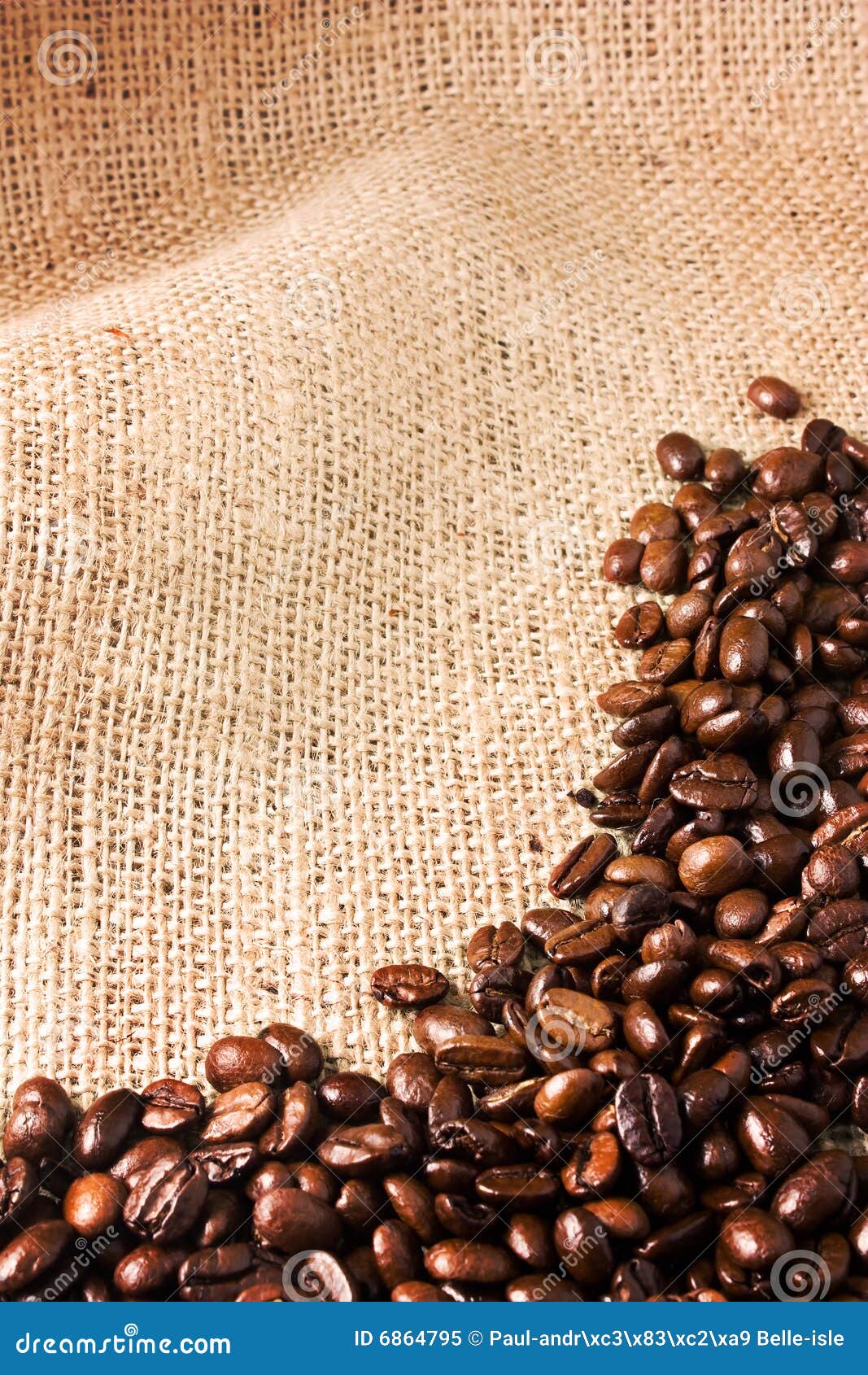 Coffee Beans On A Jute Background Stock Image Image of