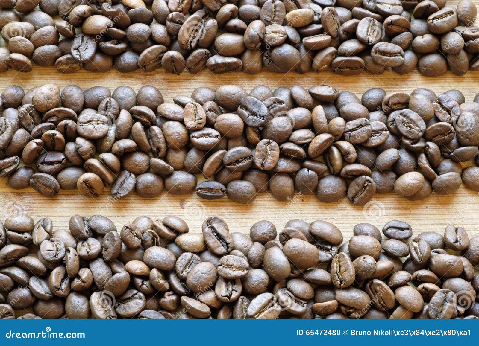 Coffee Beans in Line Landscape Top Stock Photo Image of freshness