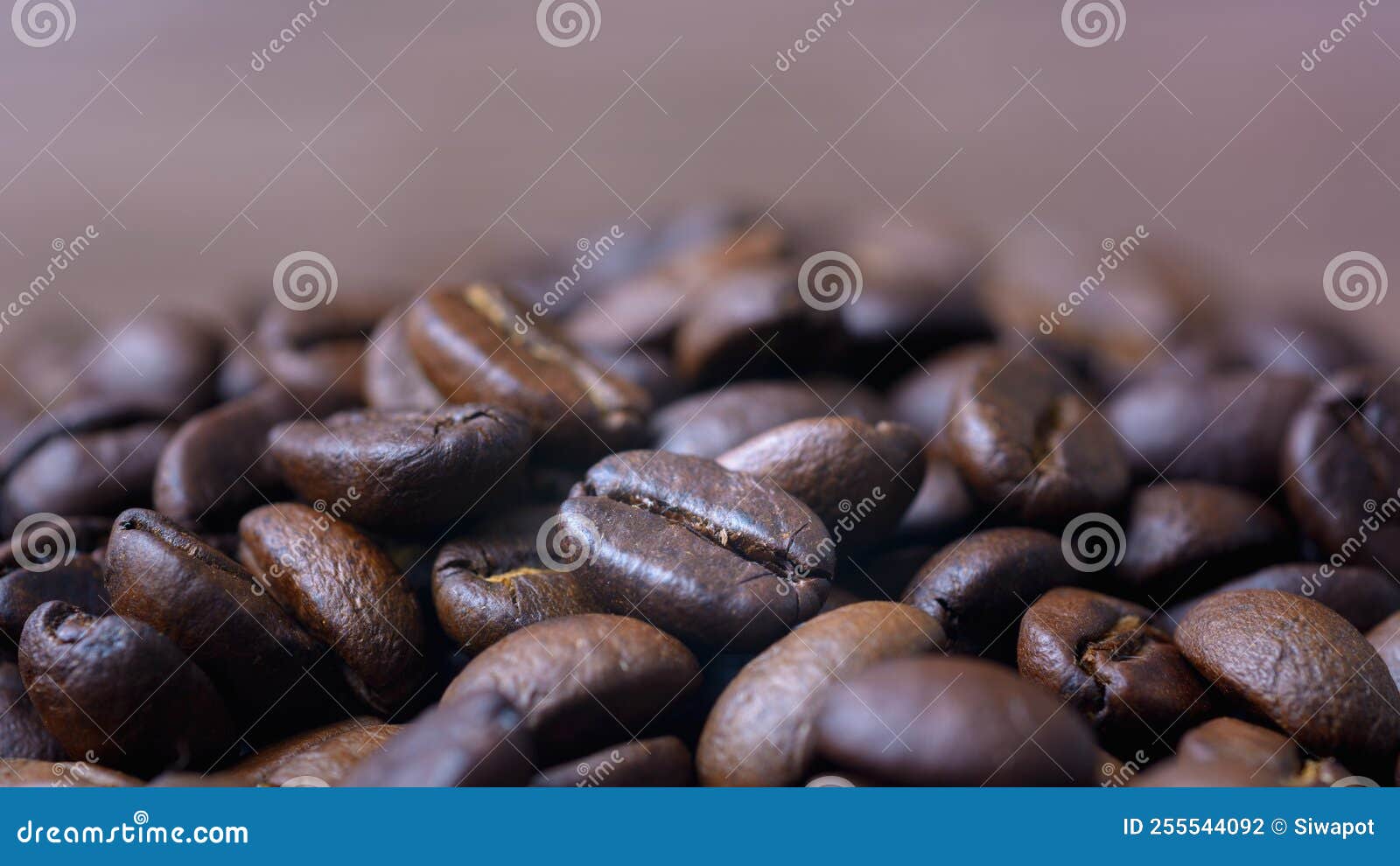 Coffee Beans on Natural Light Stock Photo Image of roasted, sunlight