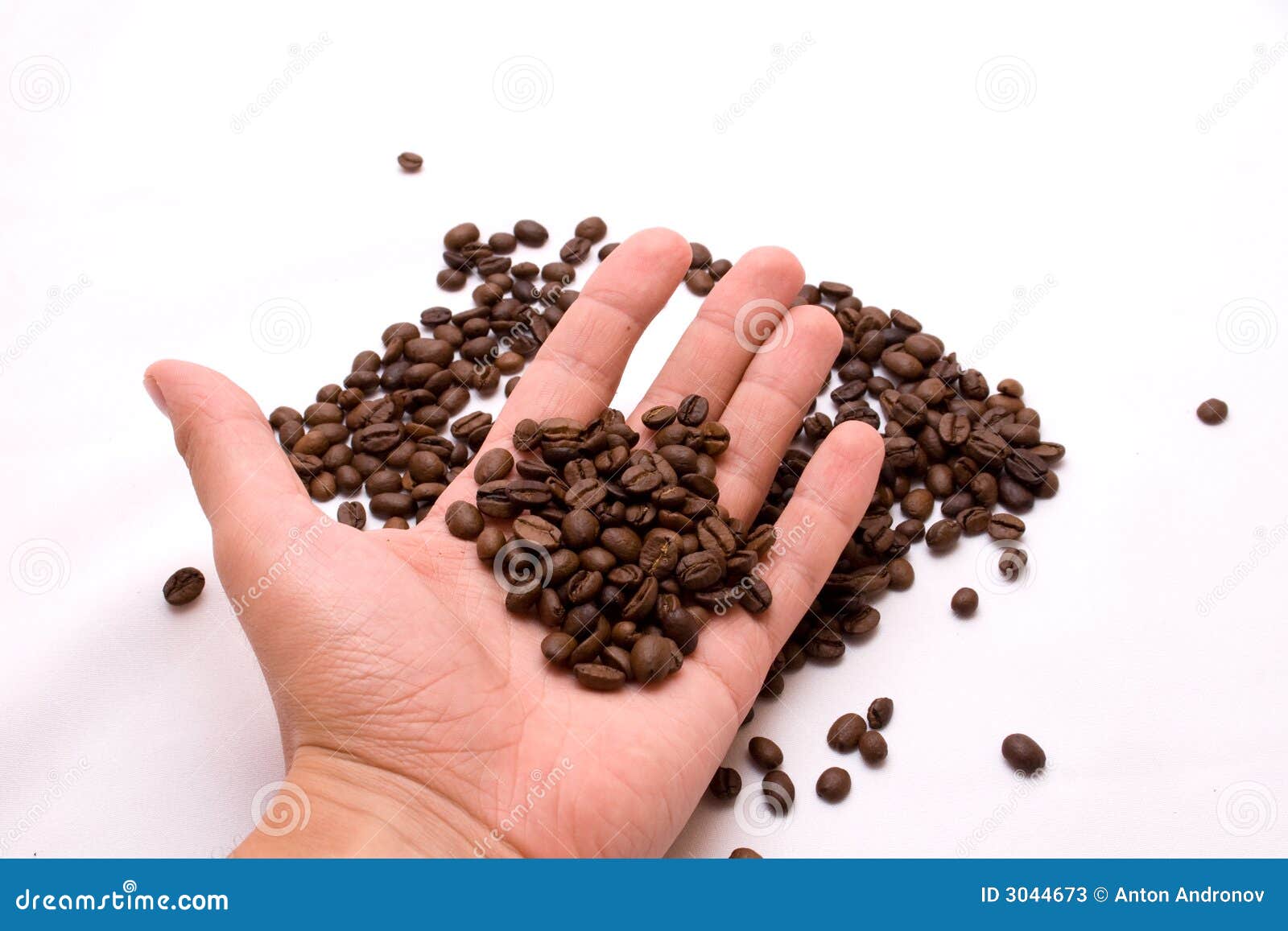 Coffee beans on a palm stock image. Image of menu, macro 3044673