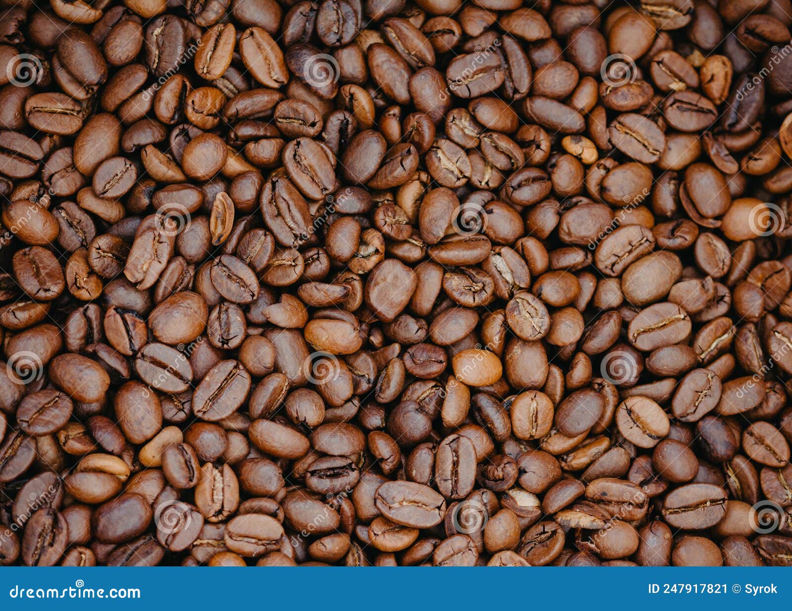 Coffee beans stock image. Image of brown, field, roasted 247917821