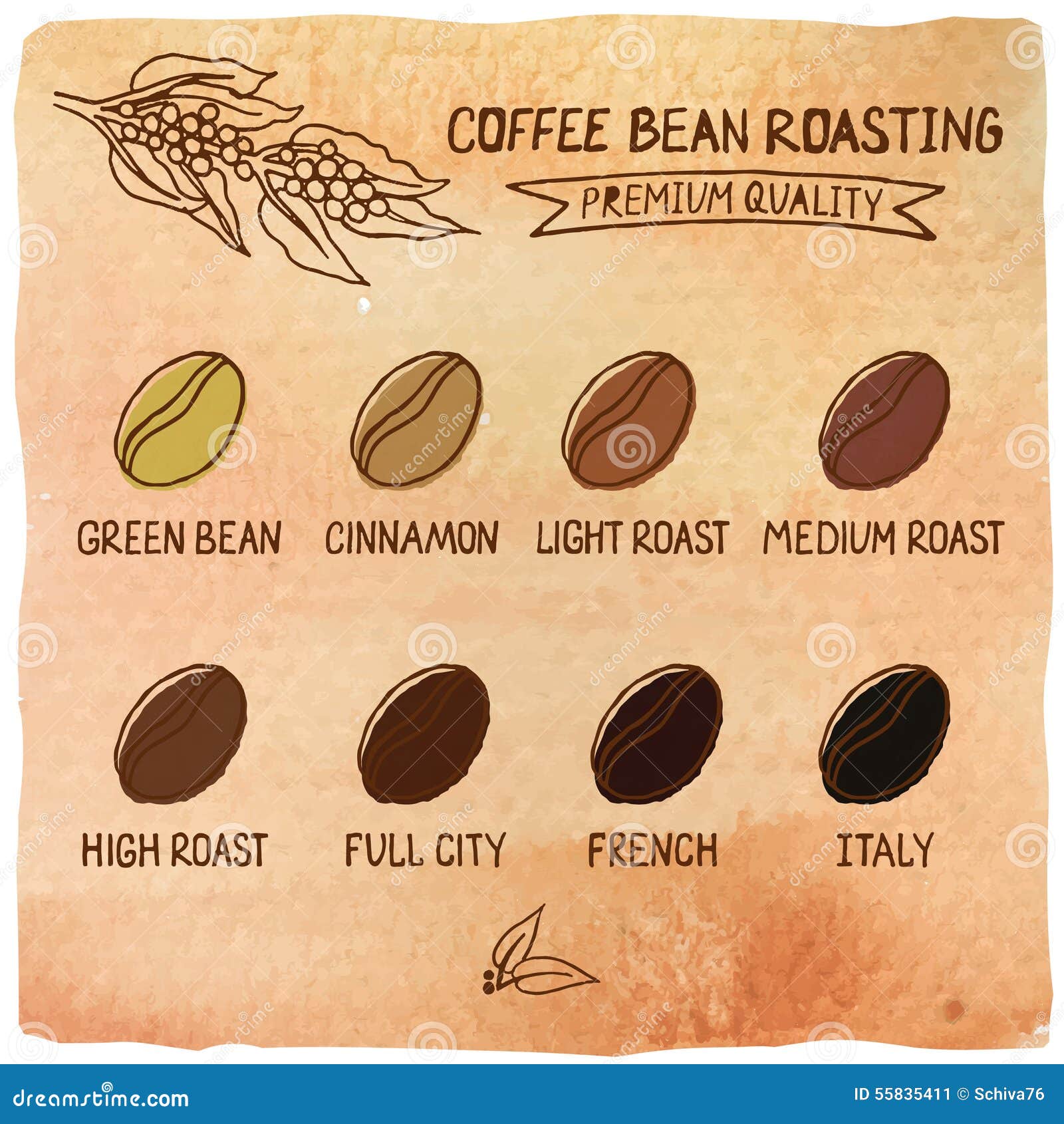 roast color scale  Coffee infographic, Coffee roasting, Coffee beans