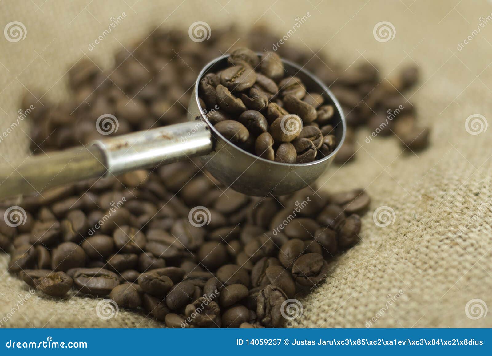 Coffee beans in scoop stock image. Image of bean, food 14059237