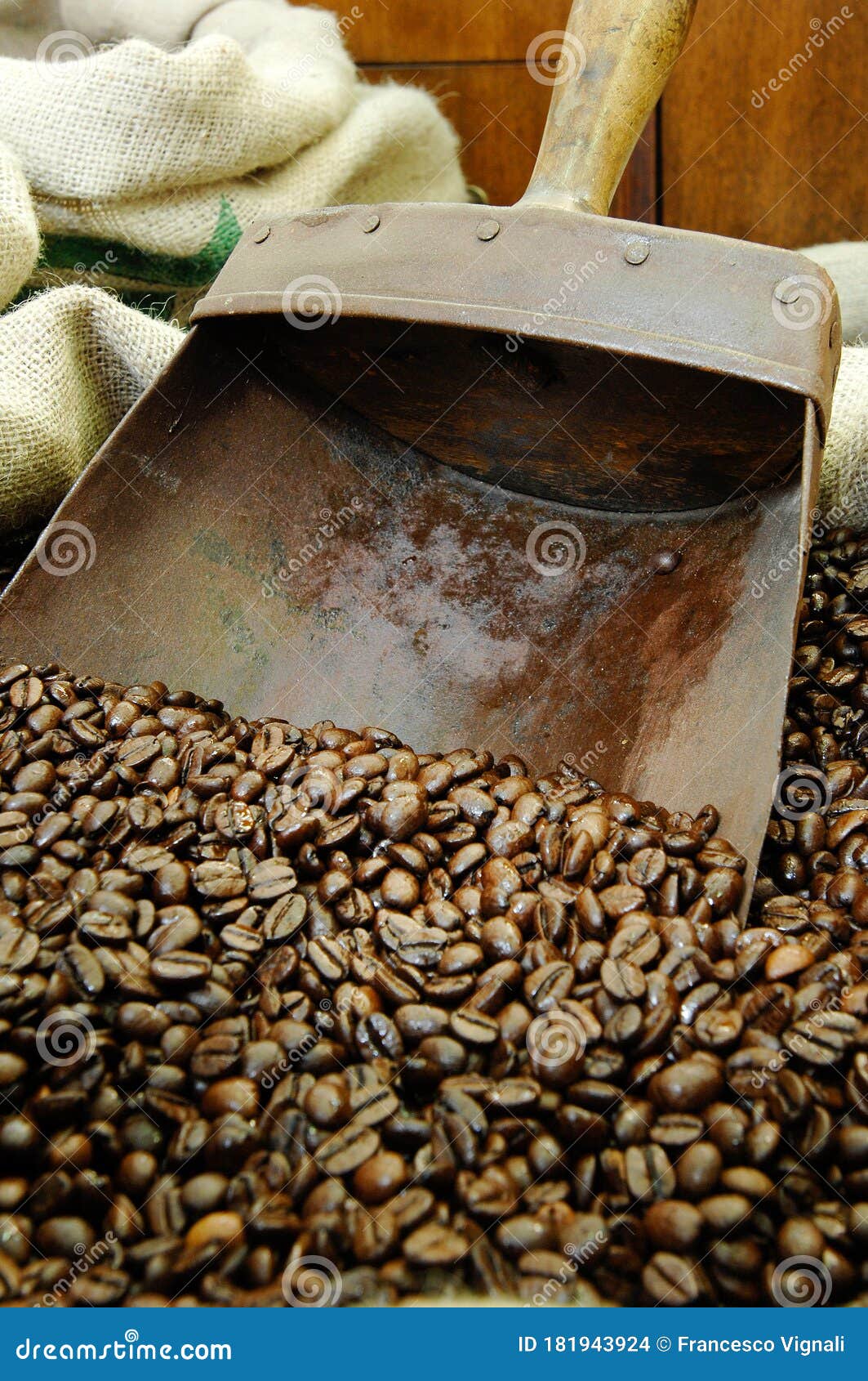 coffee beans. scoop with coffee beans