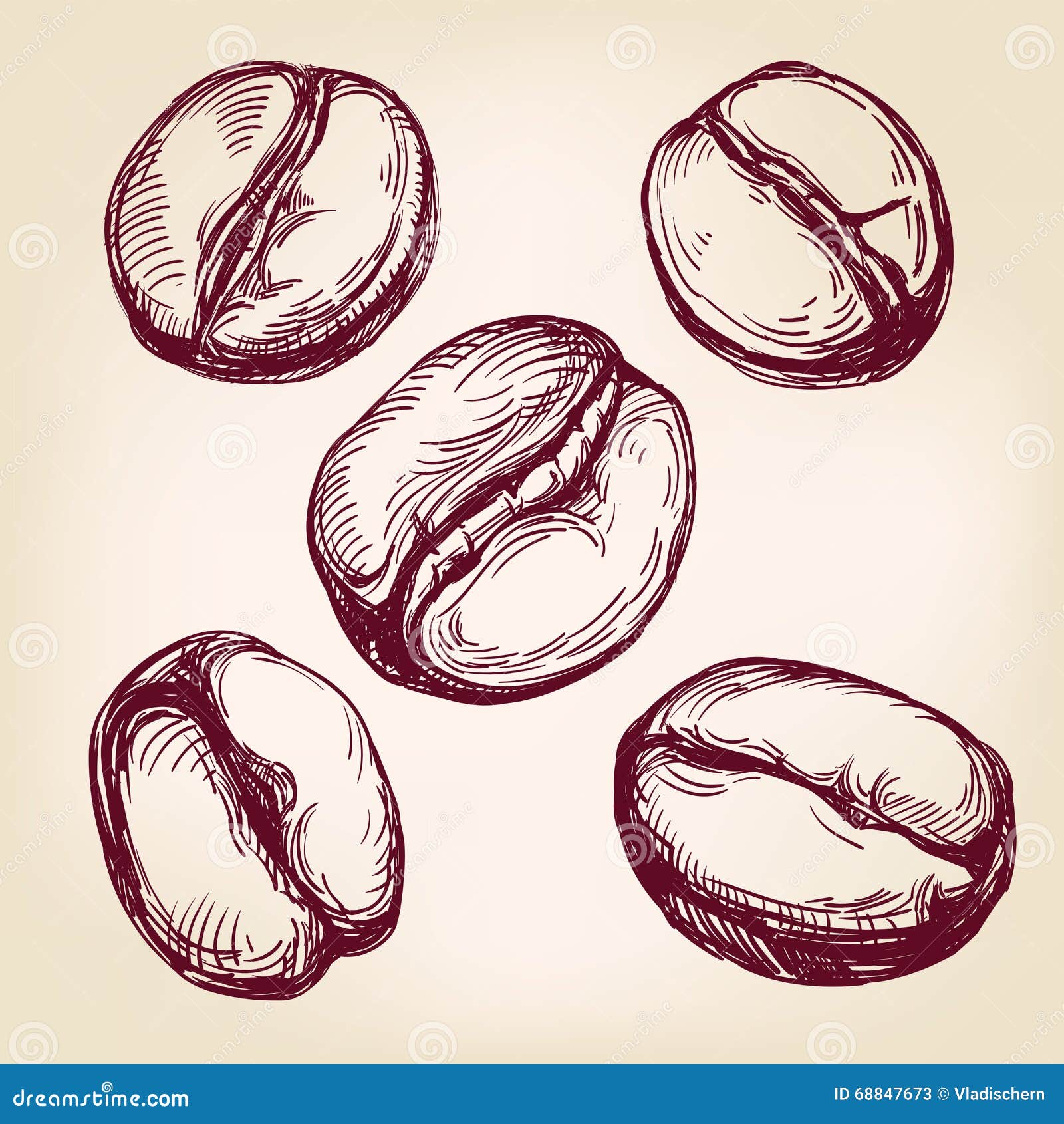 coffee beans set hand drawn  llustration sketch