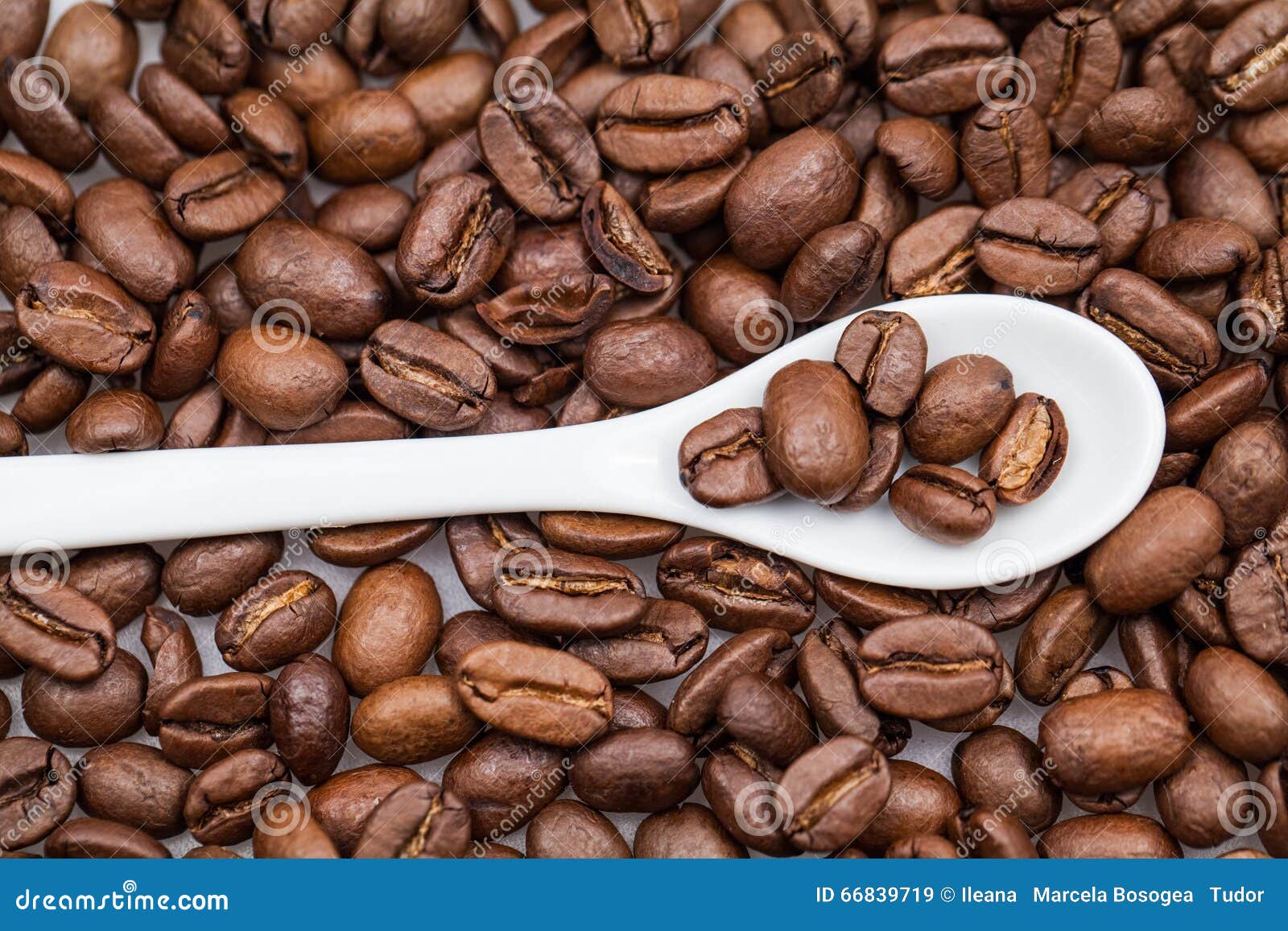 Coffee Beans and Small, White Teaspoon Stock Image Image of pouring