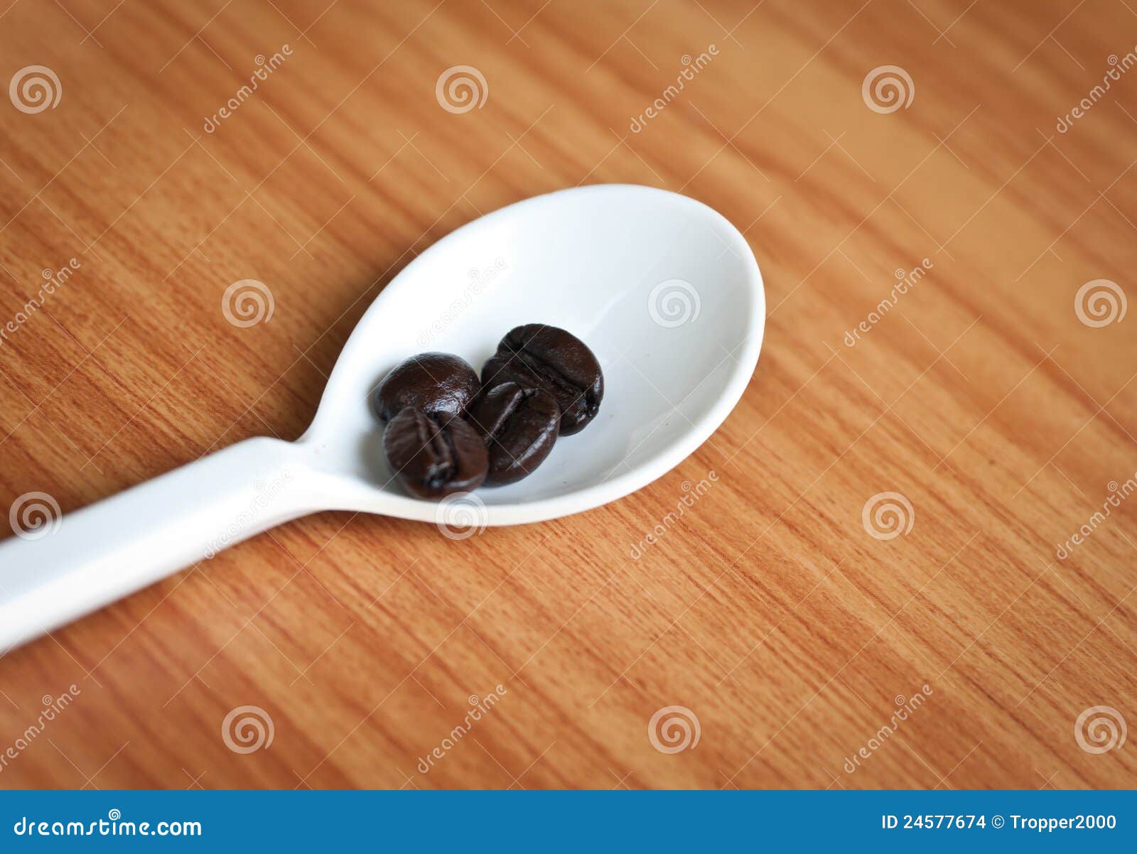 Coffee beans in a spoon . stock photo. Image of bean 24577674