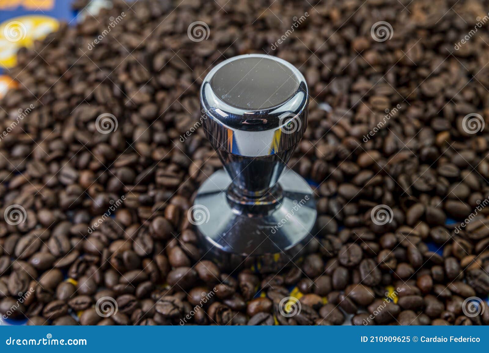 Coffee Beans with Steel Coffee Press Stock Image Image of business