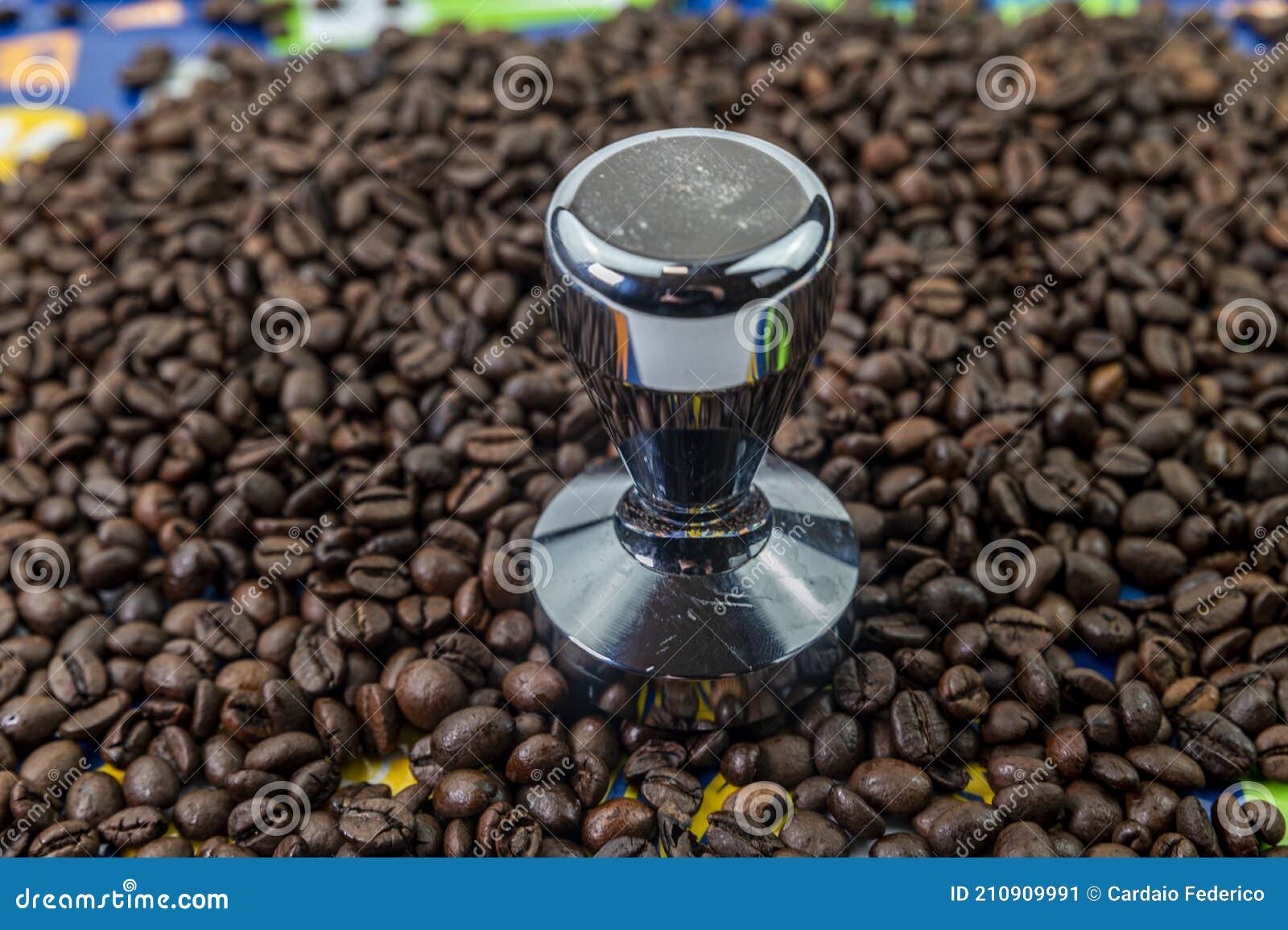 Coffee Beans with Steel Coffee Press Stock Image Image of mocha