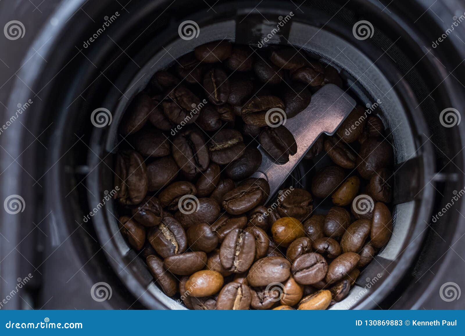 Coffee Beans about To Be Ground Stock Image Image of beverage